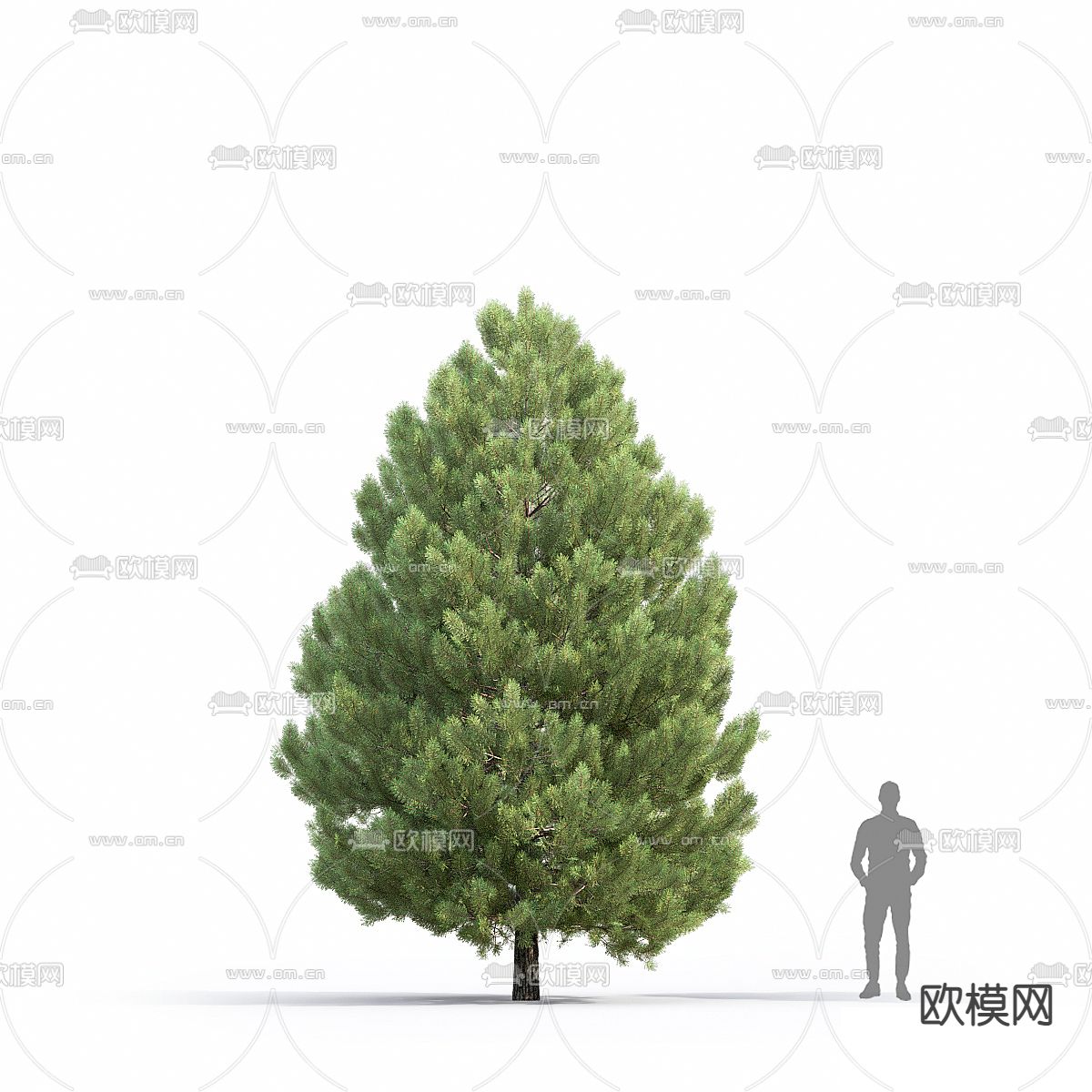 大树 景观树 树木3d模型下载（渲染图3）