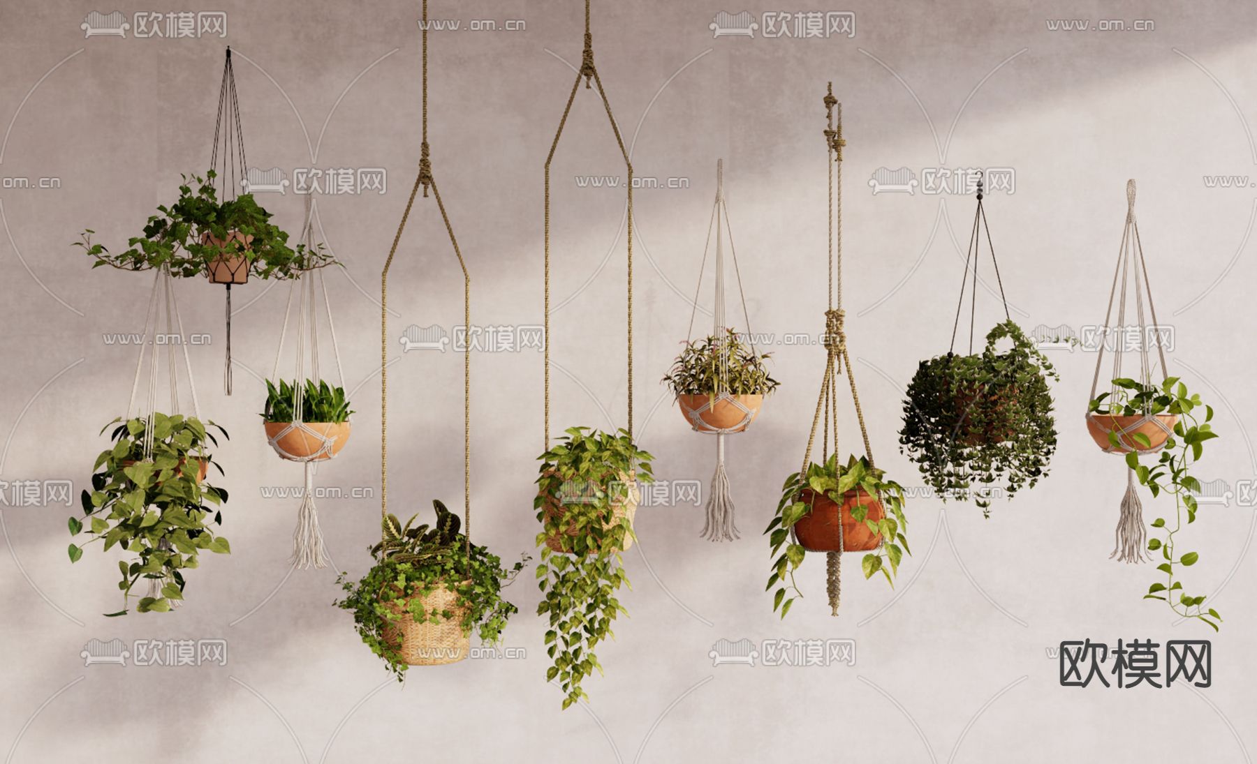 悬挂植物 垂吊盆栽su模型下载（渲染图1）