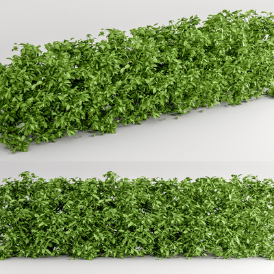  现代绿植 灌木丛su模型 