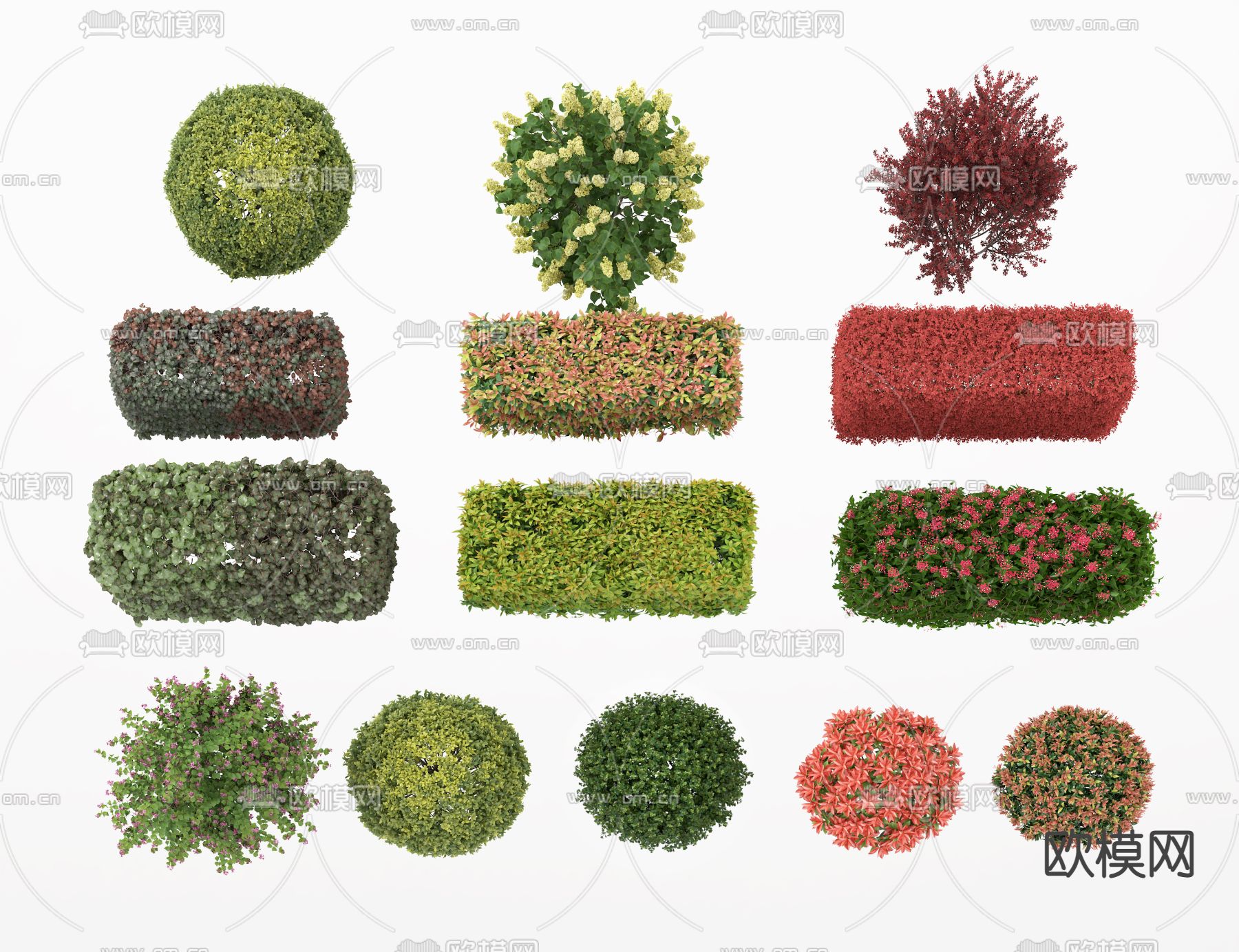灌木 绿篱3d模型下载