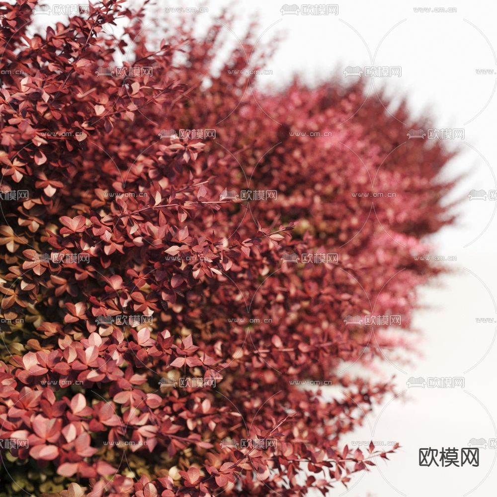 灌木丛3d模型下载（渲染图3）