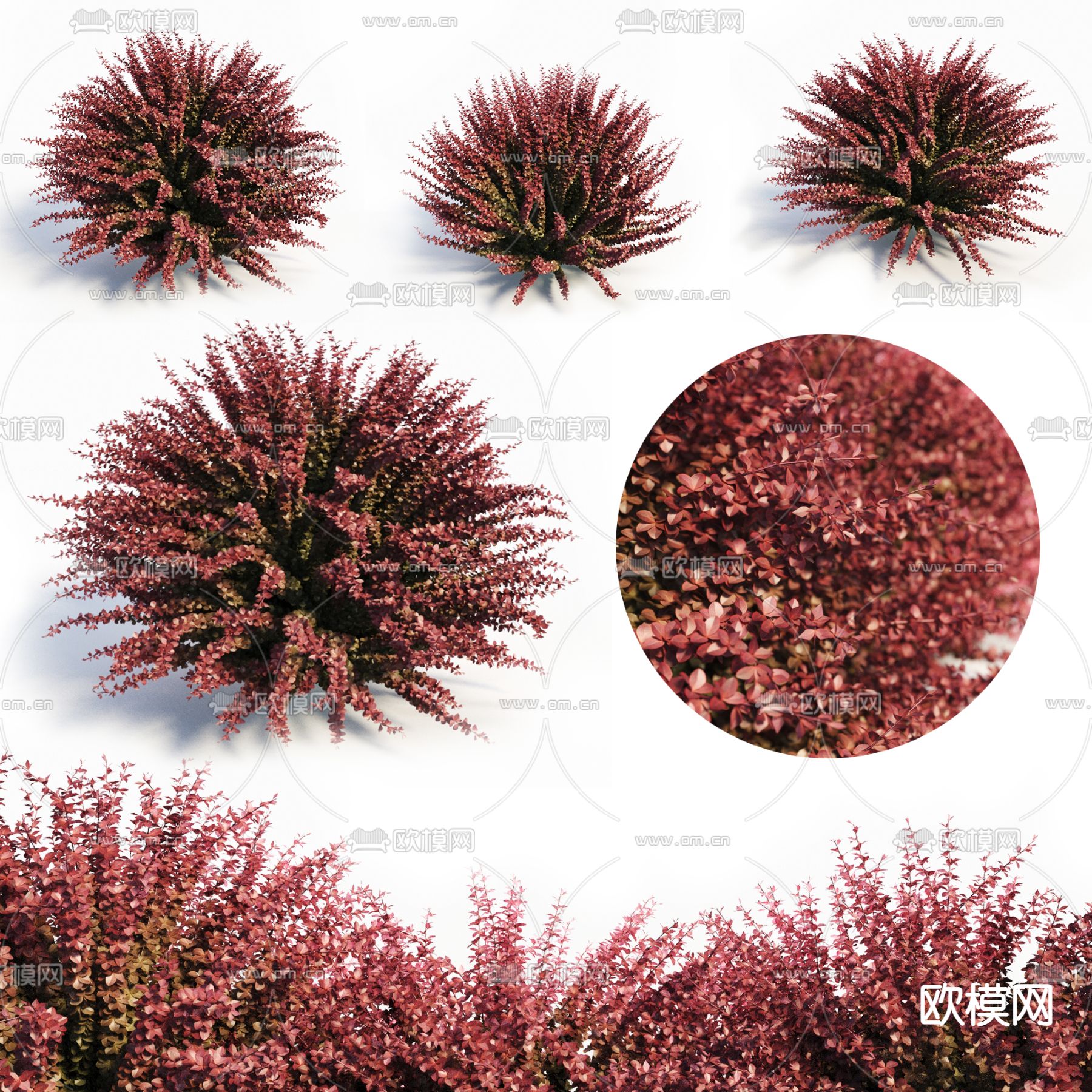 灌木丛3d模型下载（渲染图2）