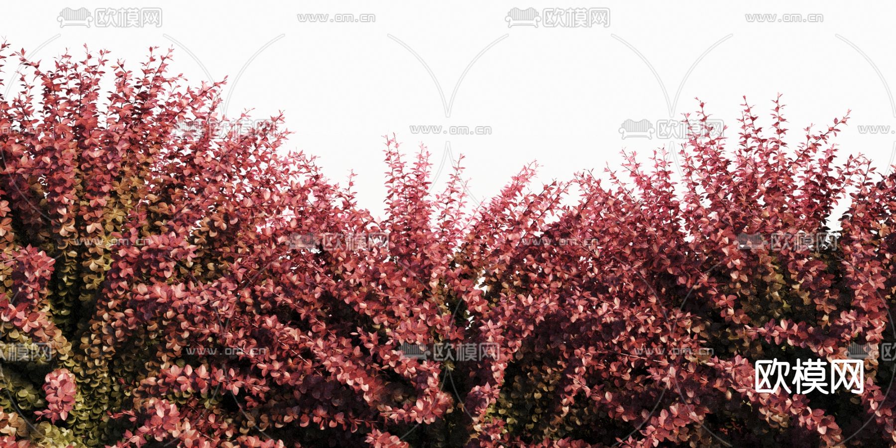 灌木丛3d模型下载（渲染图1）