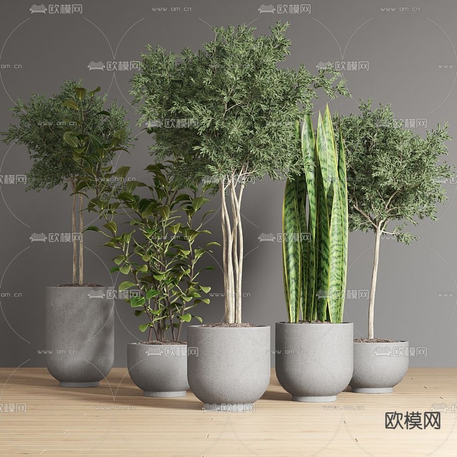 现代绿植盆栽免费3d模型