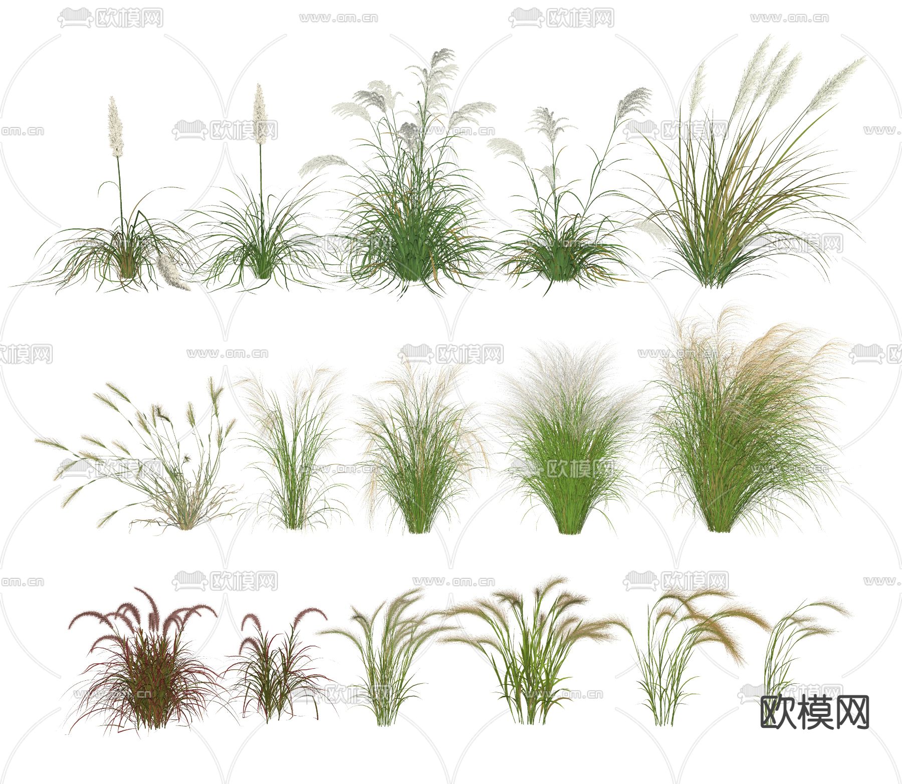 杂草草堆su模型下载（渲染图2）