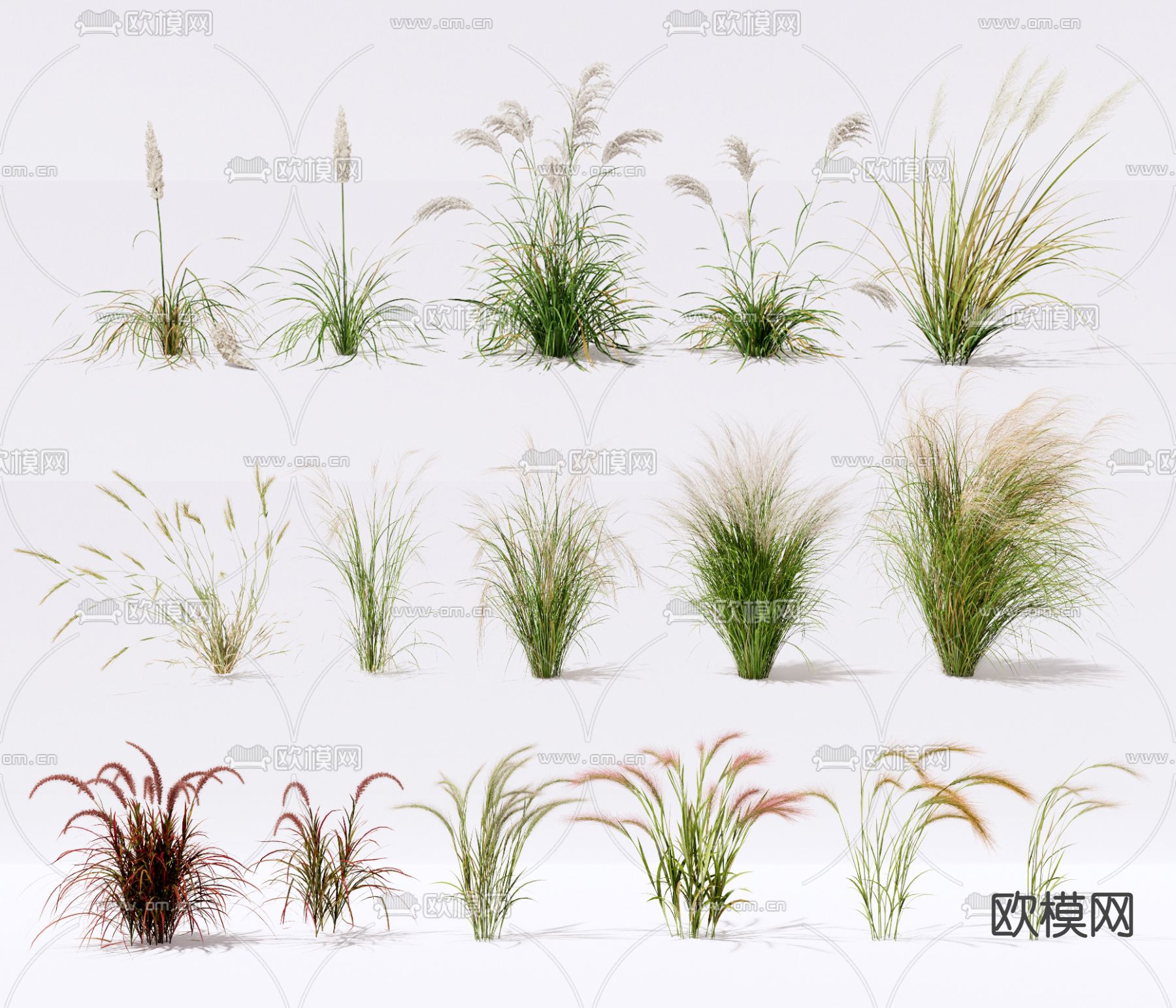 杂草草堆su模型下载（渲染图1）