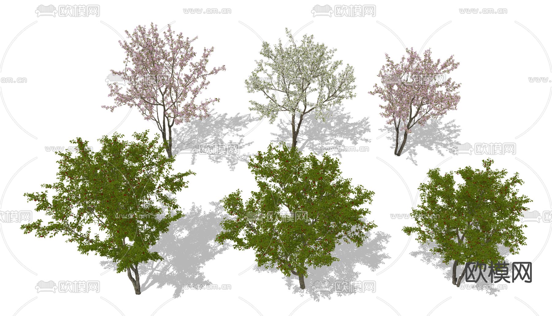 樱桃树su模型下载（渲染图2）
