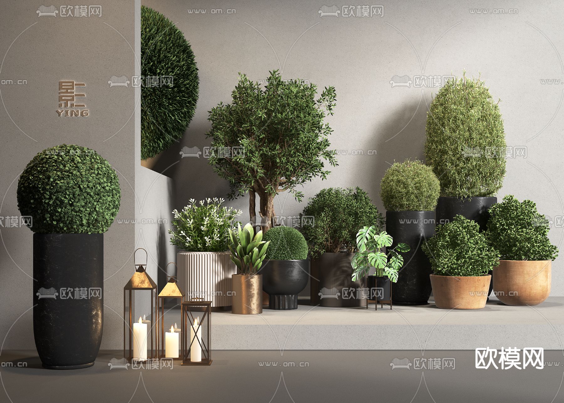 绿植盆栽 盆景3d模型下载