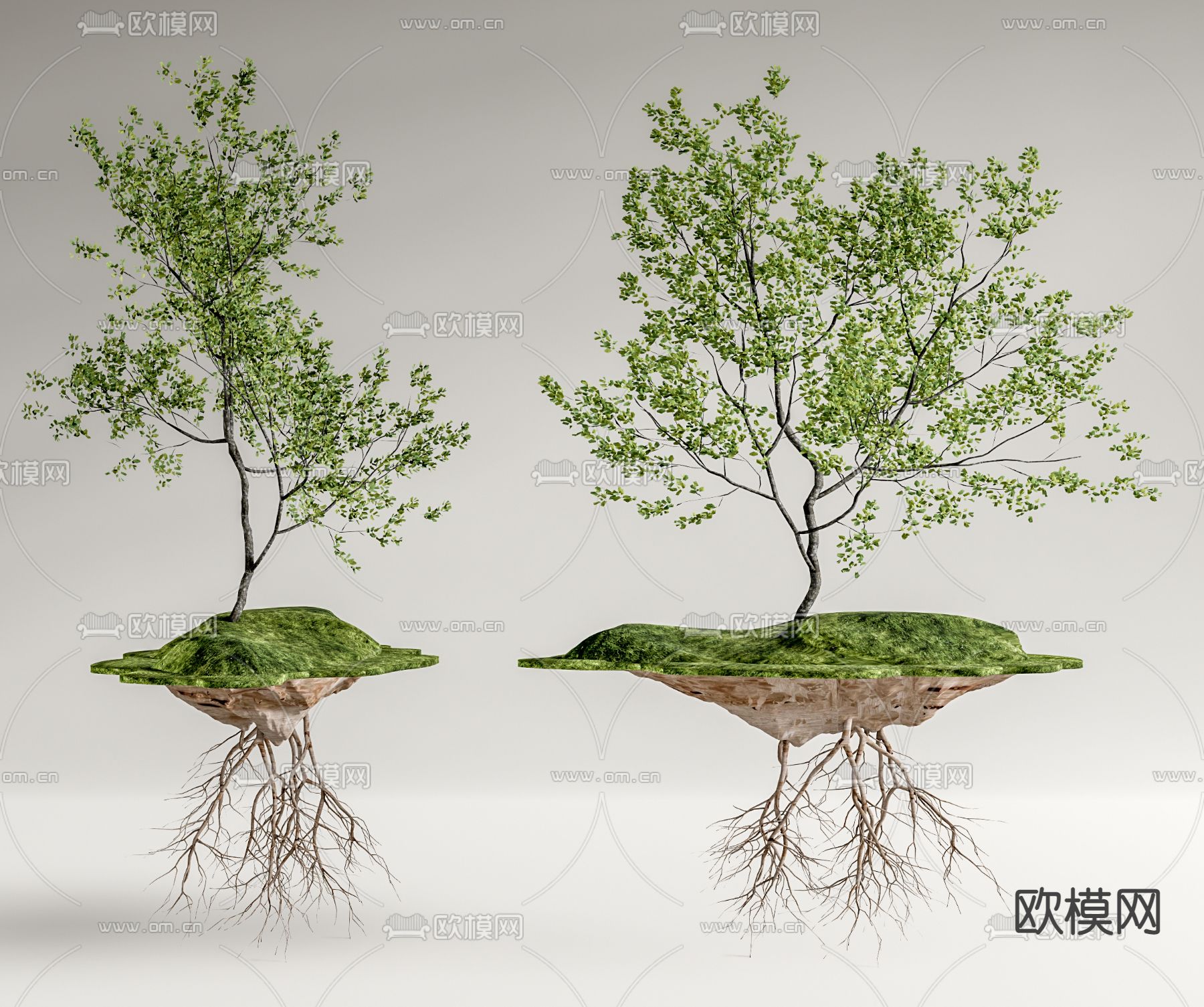 悬浮绿植小品 蕨类绿植su模型