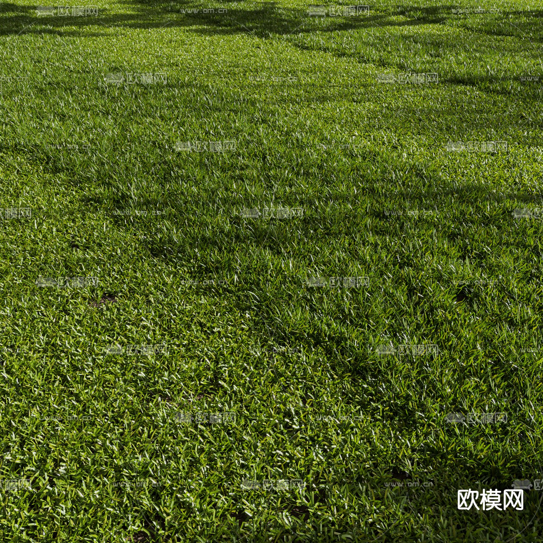 绿茵草地 草坪3d模型
