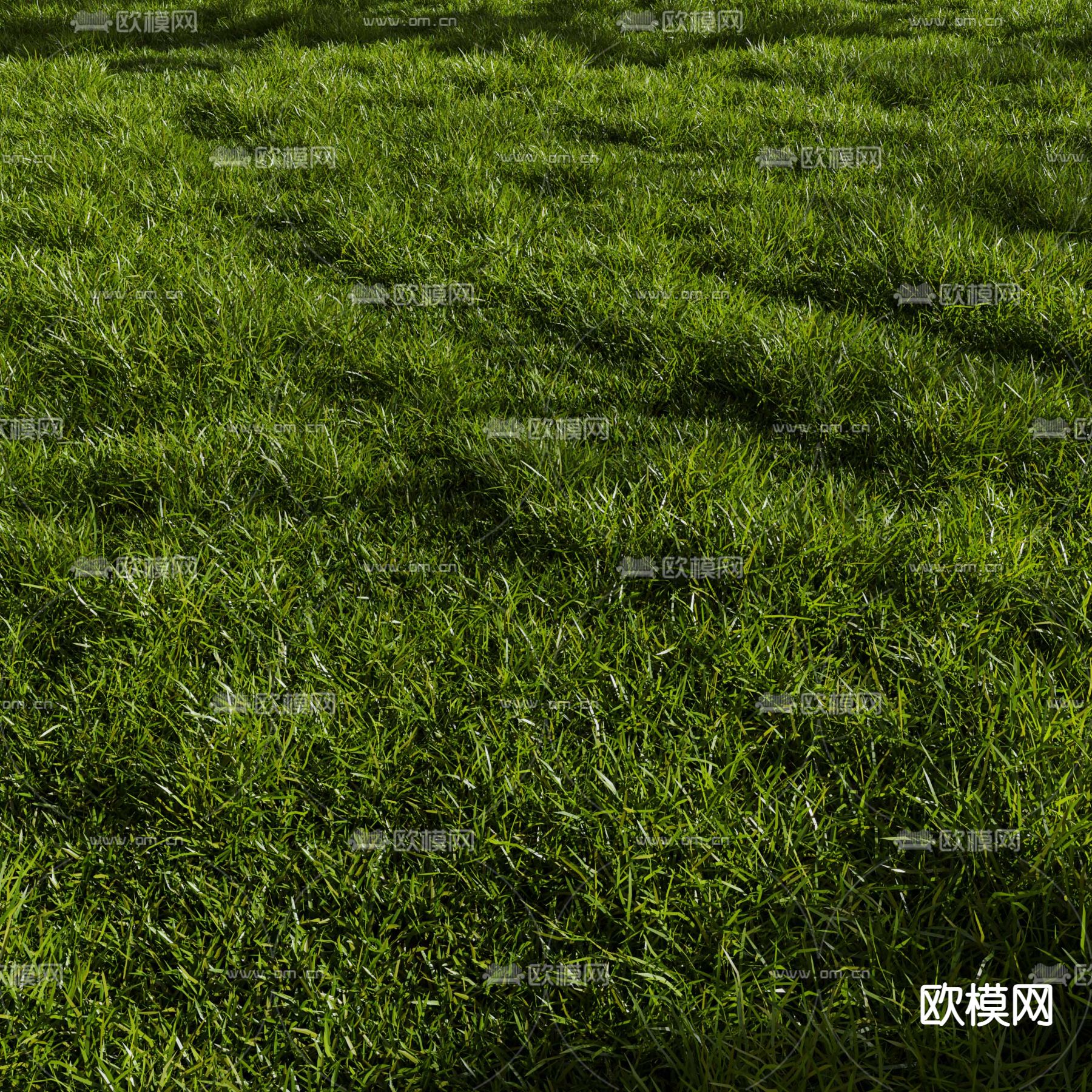 绿茵草地 草坪3d模型
