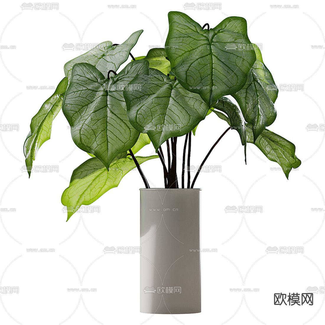 水培绿植 花瓶花艺3d模型下载（渲染图2）