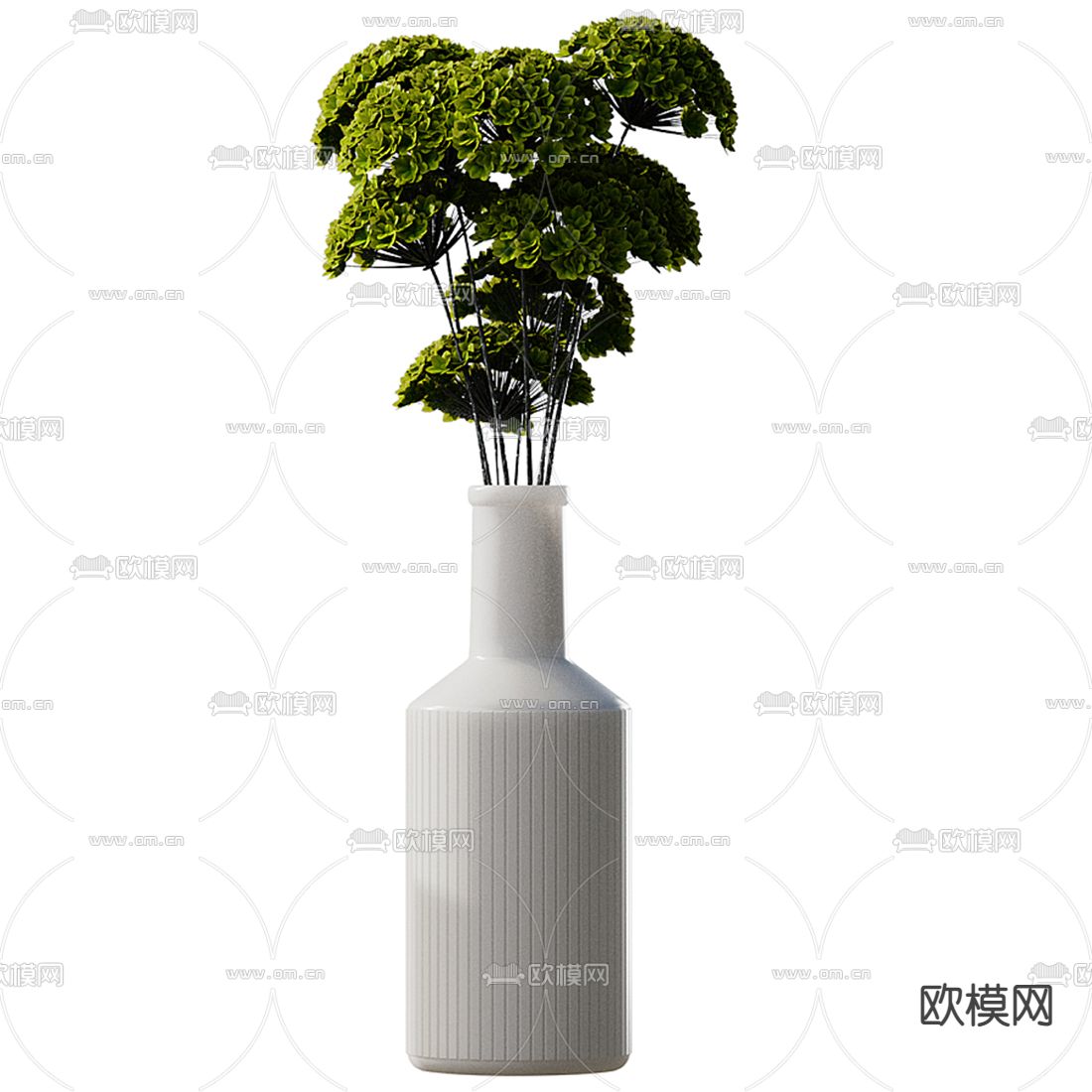 水培绿植 花瓶花艺3d模型下载（渲染图3）