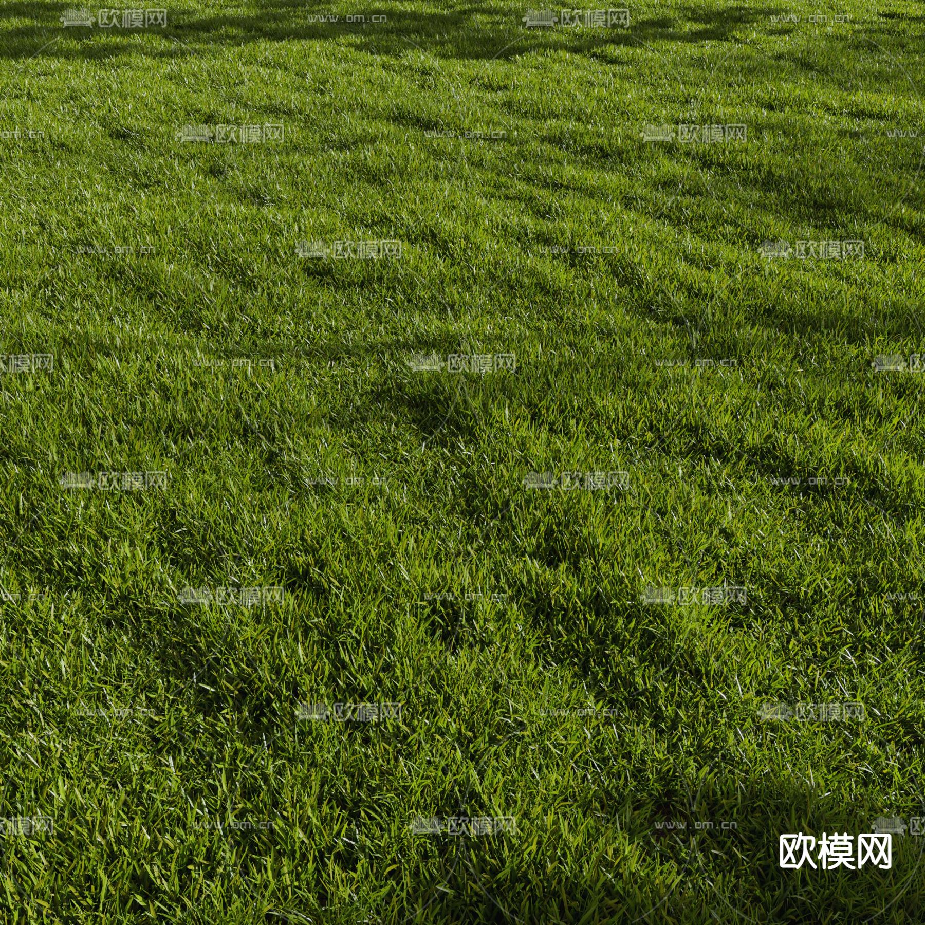 绿茵草地 草坪3d模型