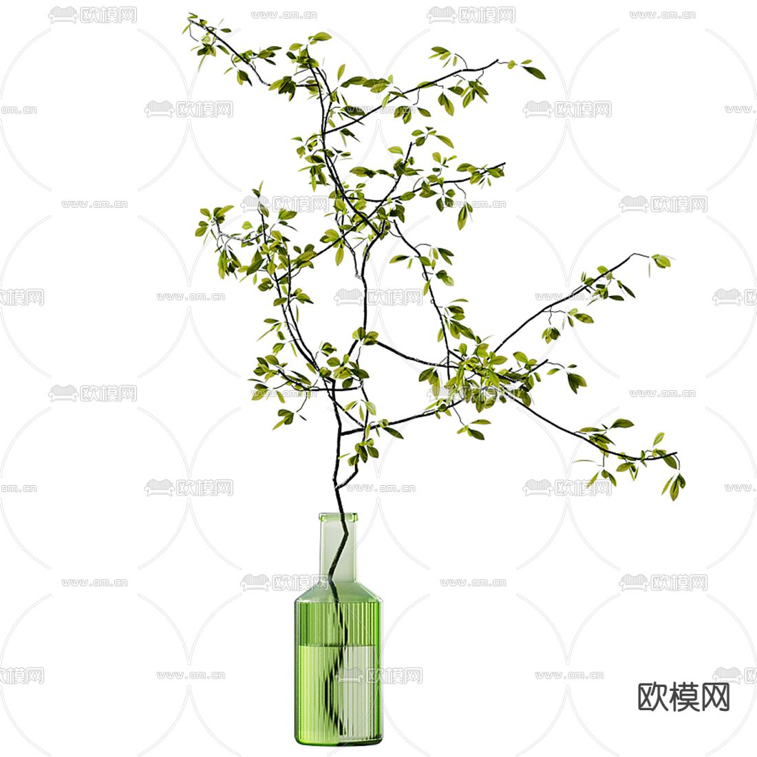 水培绿植 花瓶花艺3d模型下载（渲染图5）