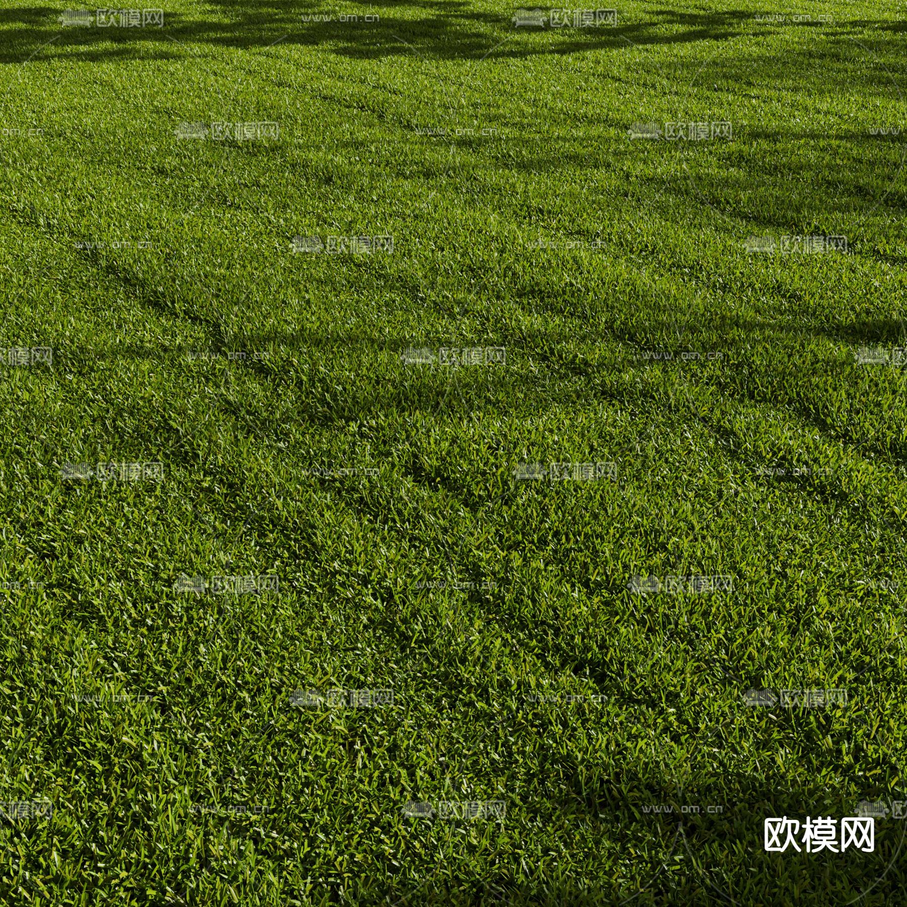 绿茵草地 草坪3d模型