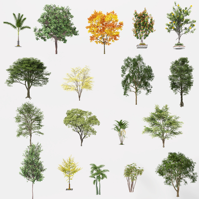  树木 绿植su模型 