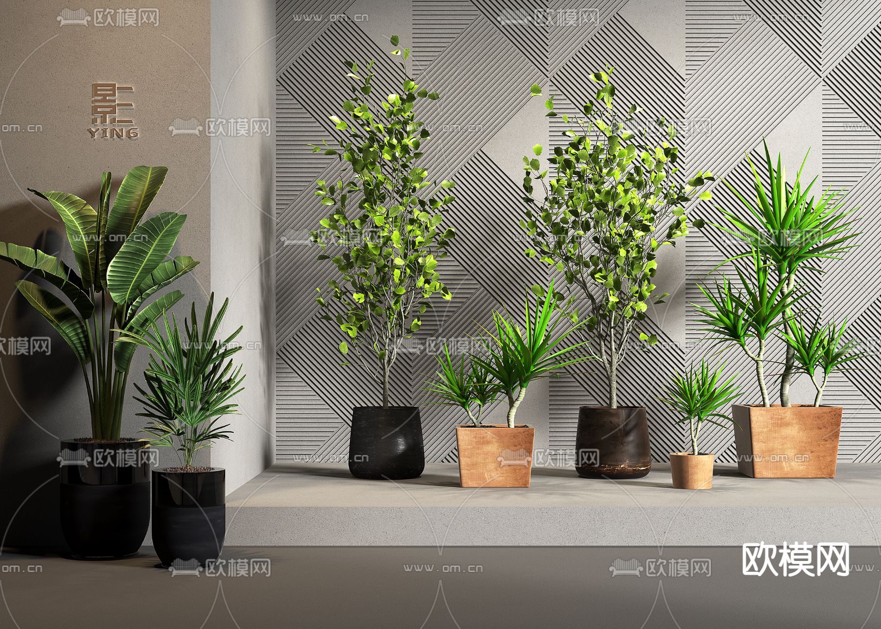 绿植 盆栽3d模型下载_ID12258292_3dmax免费模型-欧模网