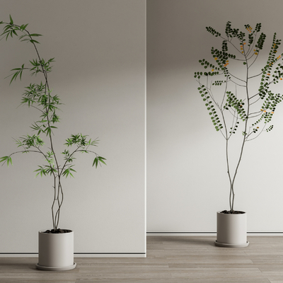 现代绿植盆栽 盆景su模型