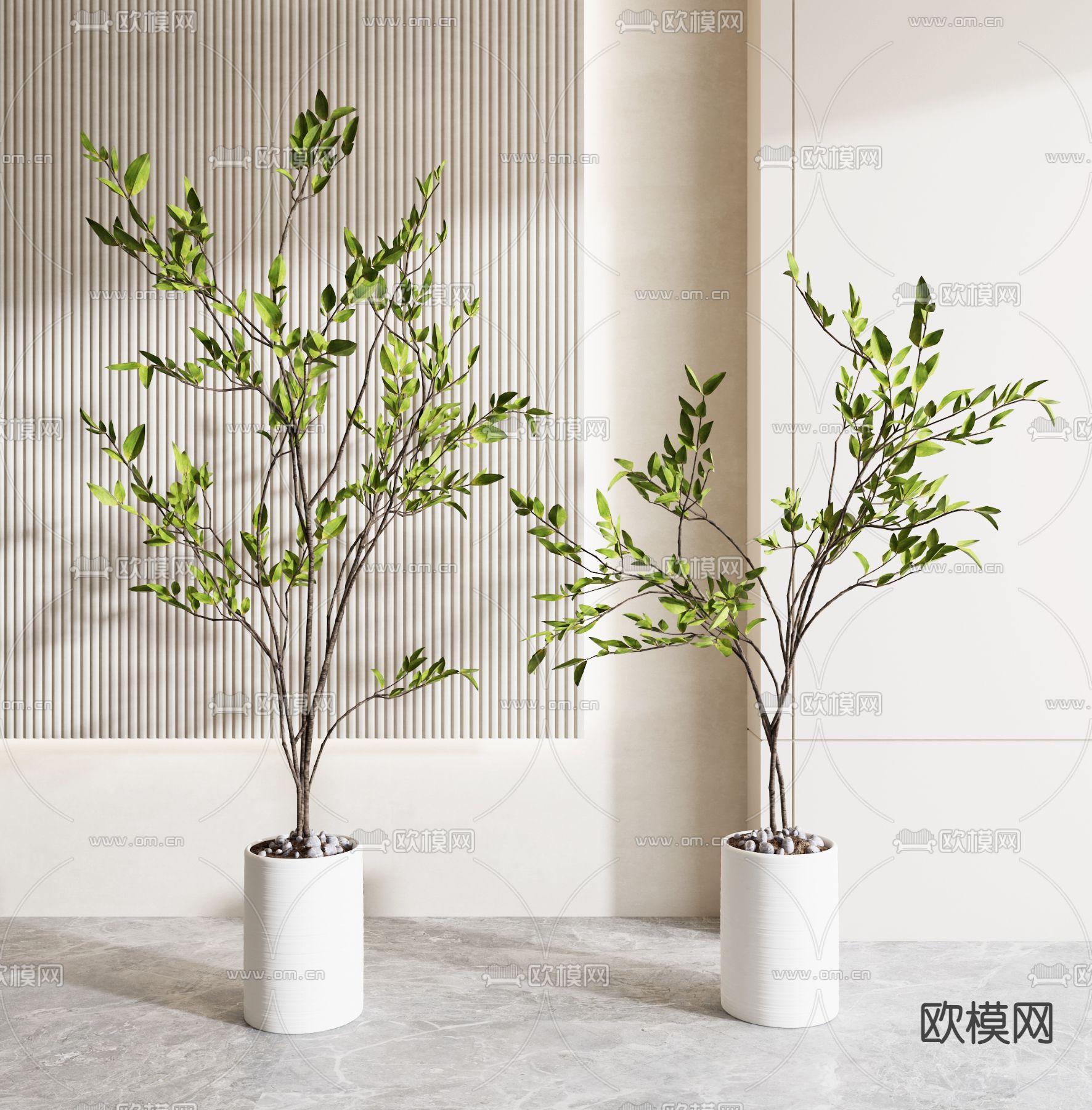 绿植盆栽 盆景3d模型