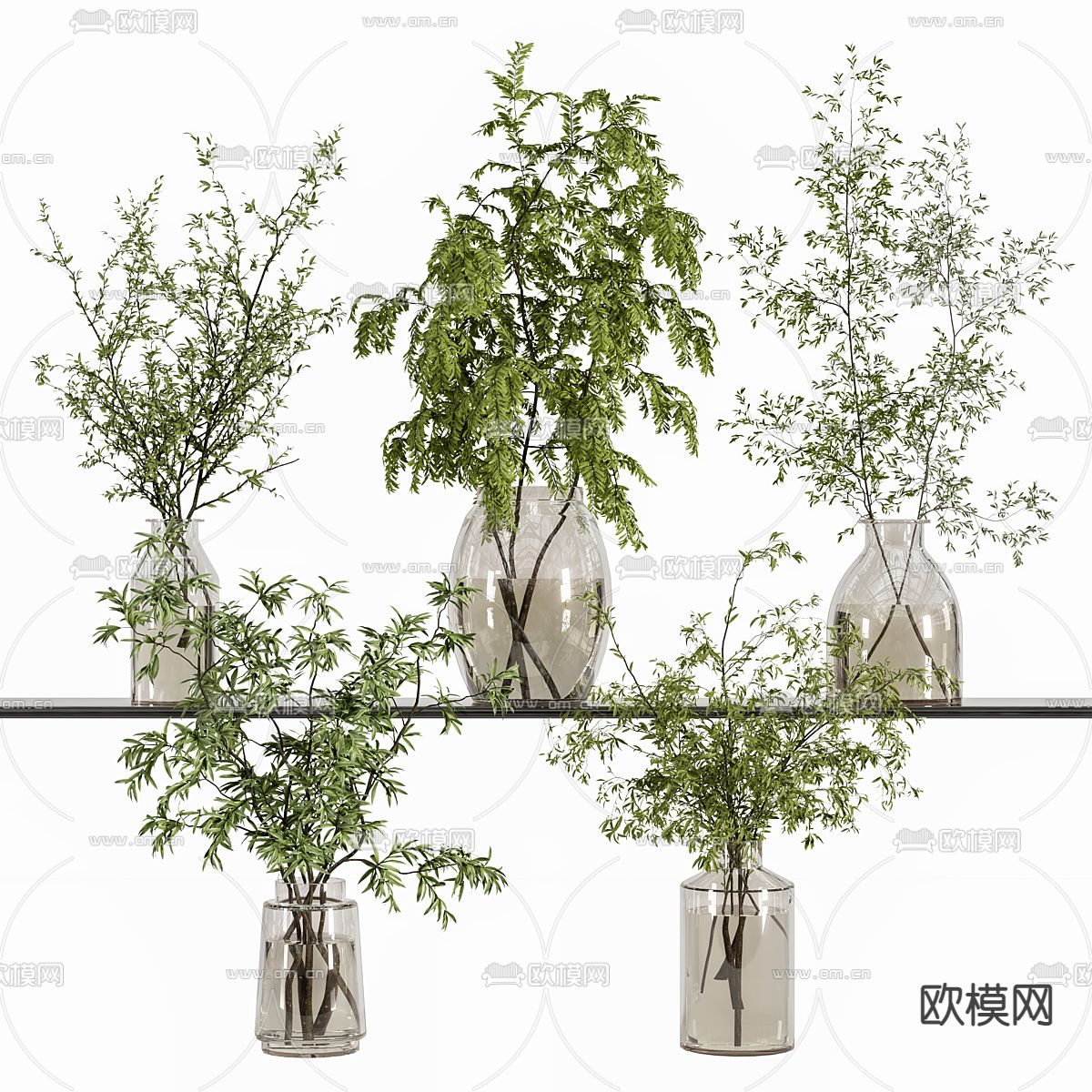 水生植物 花瓶花艺3d模型