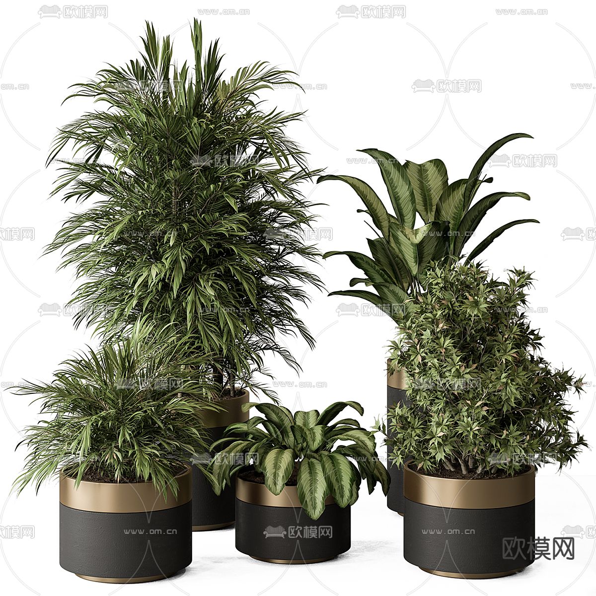 绿植盆栽 盆景3d模型下载_ID12265588_3dmax免费模型-欧模网