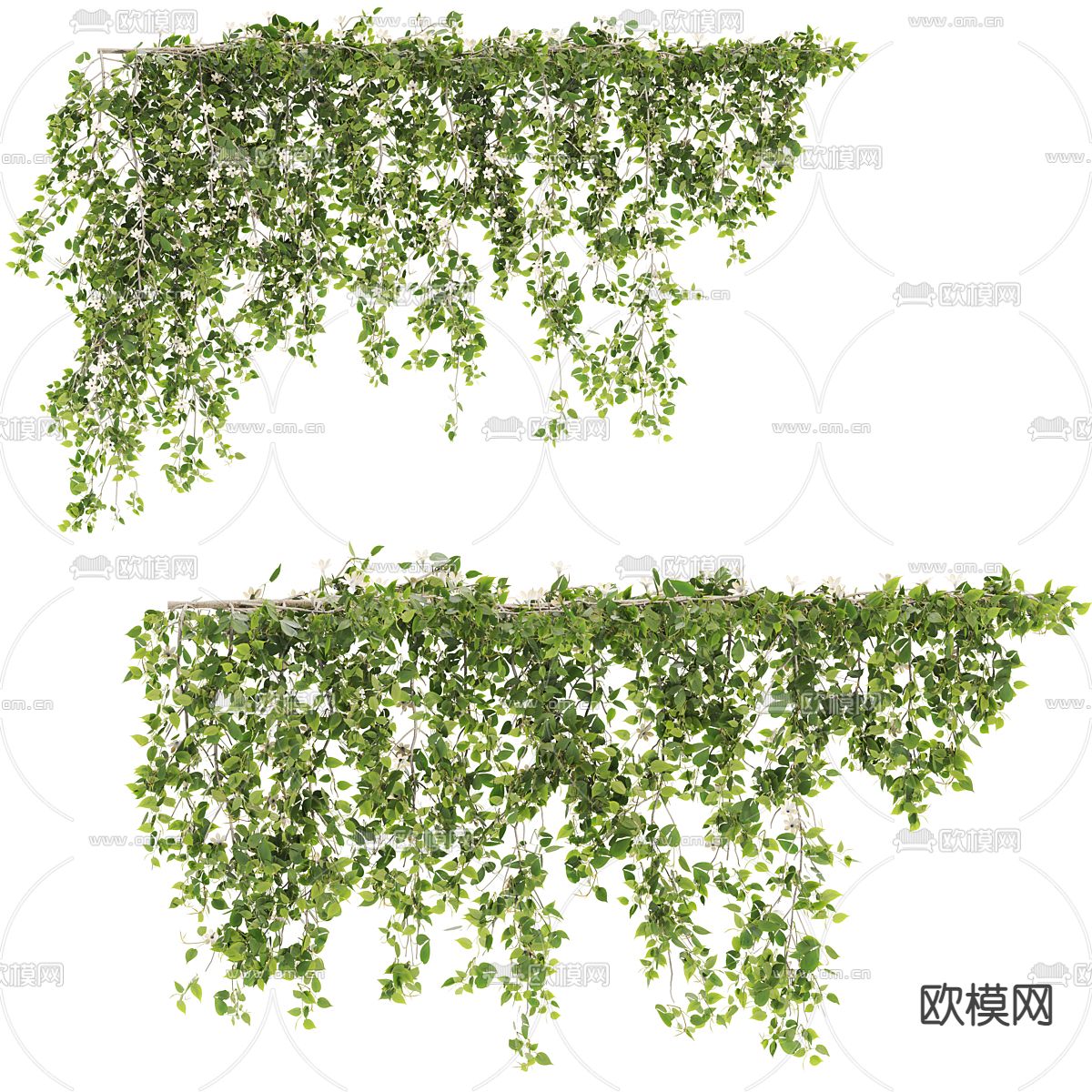 藤蔓3d模型下载