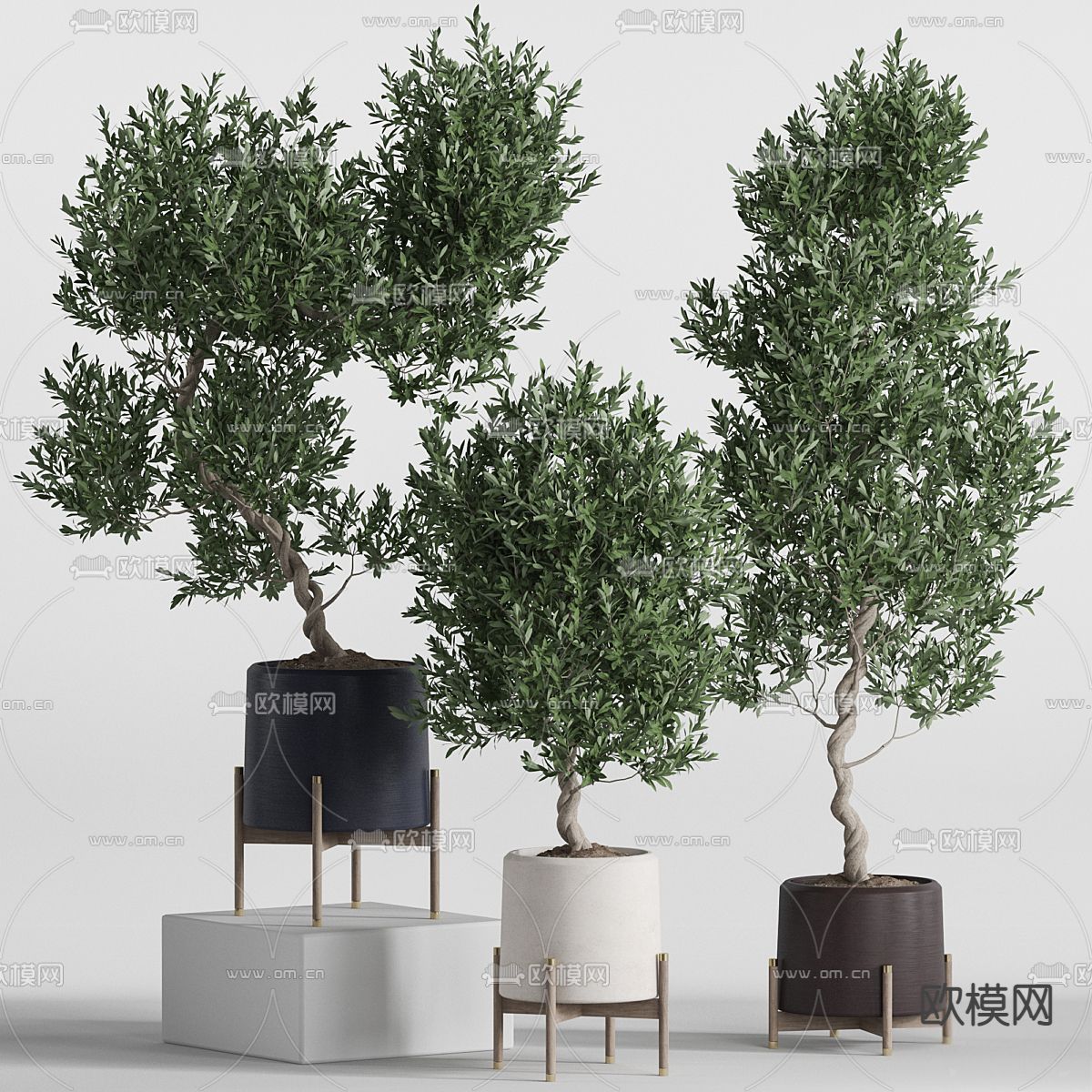 绿植盆栽 盆景3d模型下载_ID12265589_3dmax免费模型-欧模网