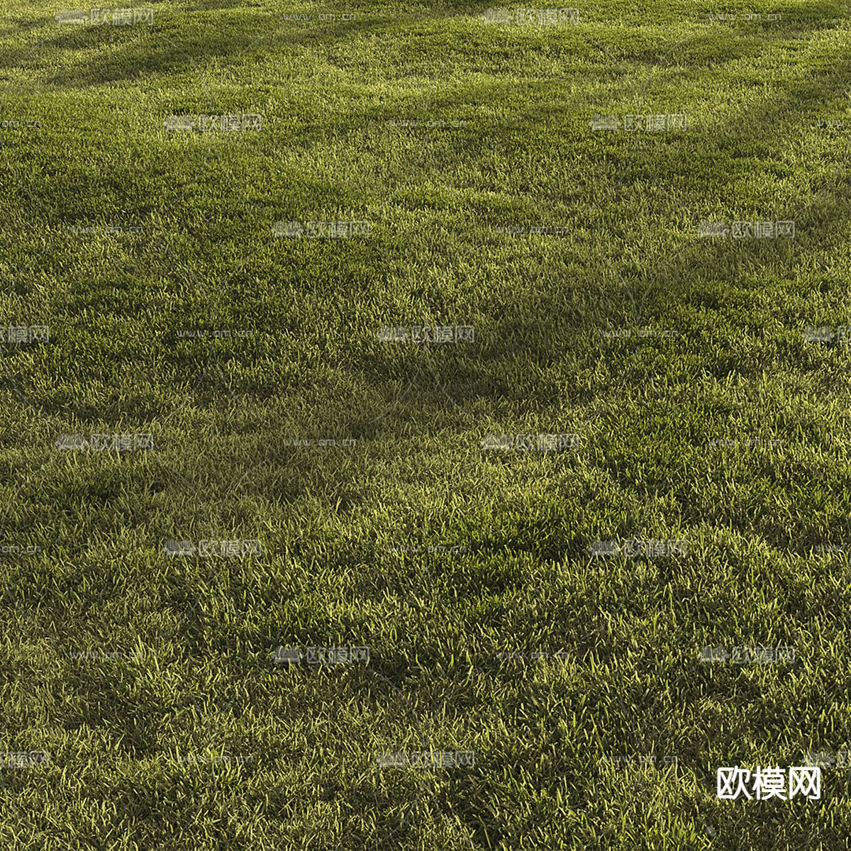 现代绿茵 草坪 草地3d模型