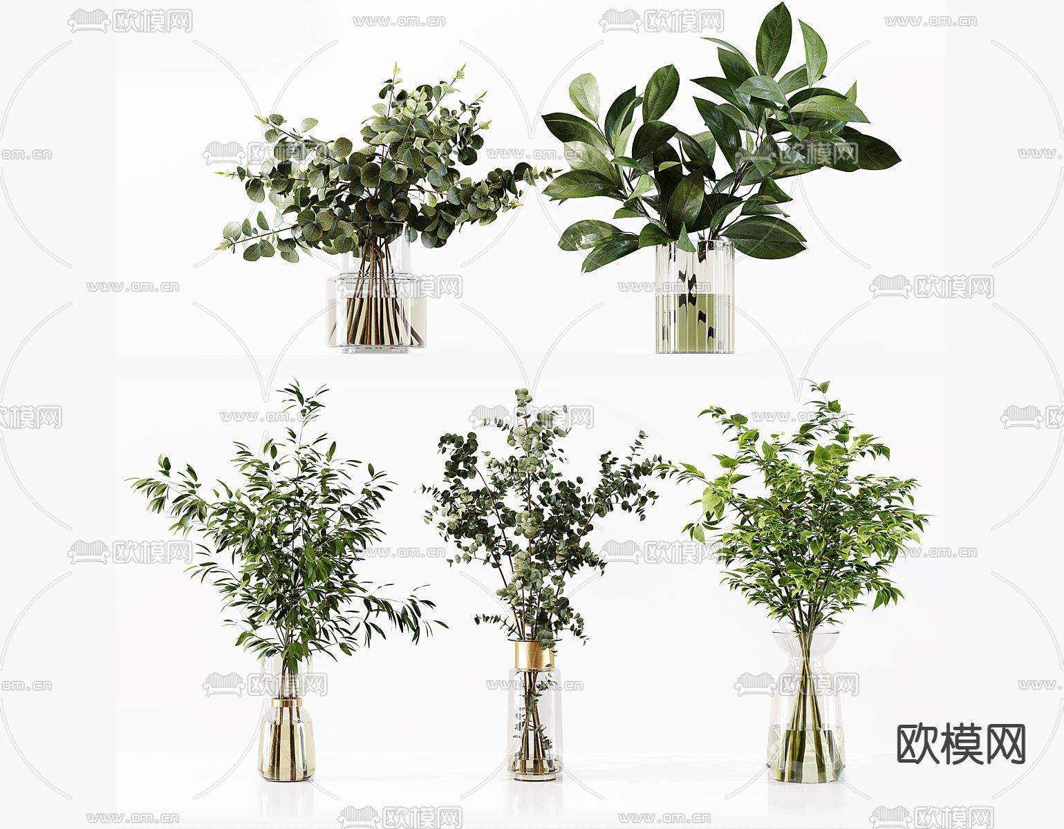 水养绿植 水生植物3d模型