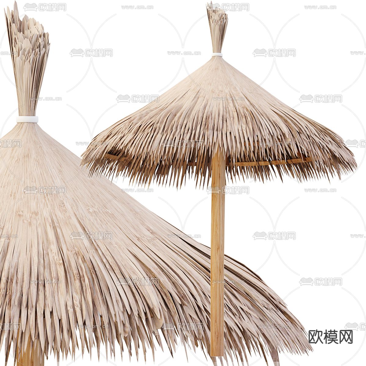 茅草遮阳伞3d模型下载（渲染图1）