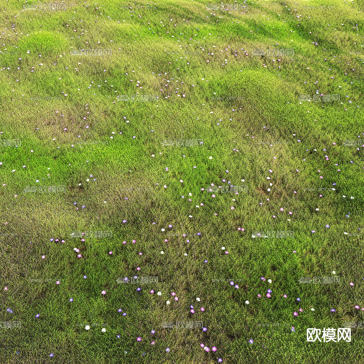 草坪 草地 草皮3d模型下载（渲染图2）