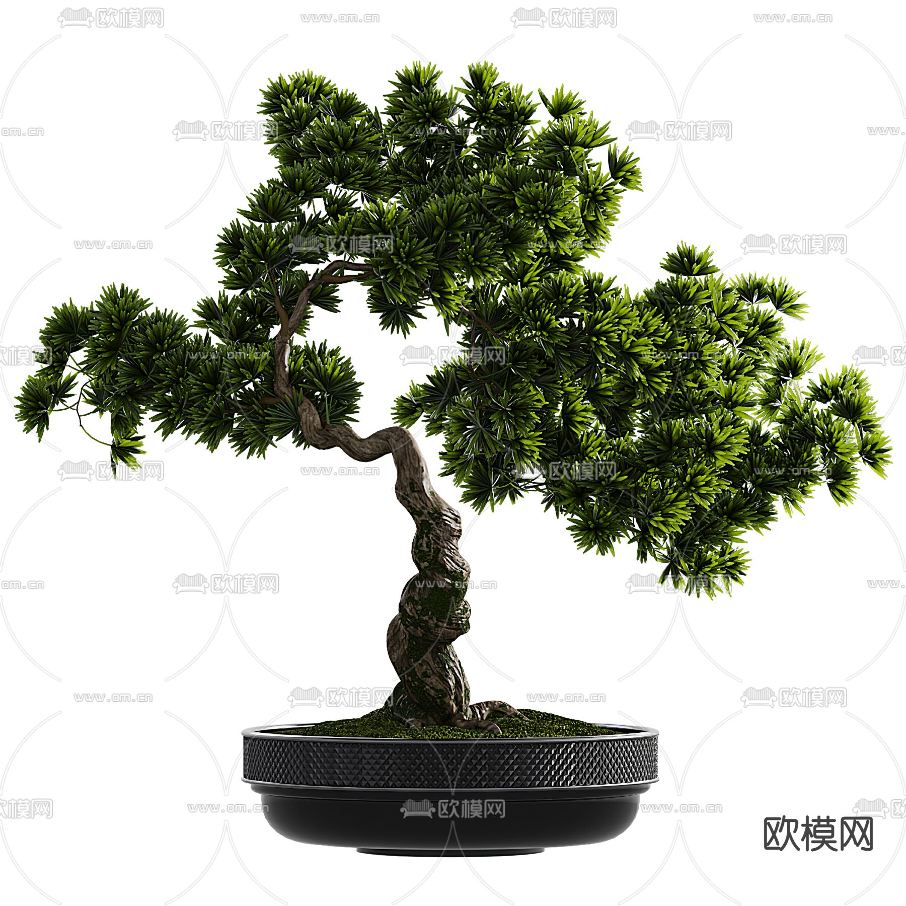 新中式柏松盆栽 盆景3d模型下载_ID12266011_3dmax免费模型-欧模网