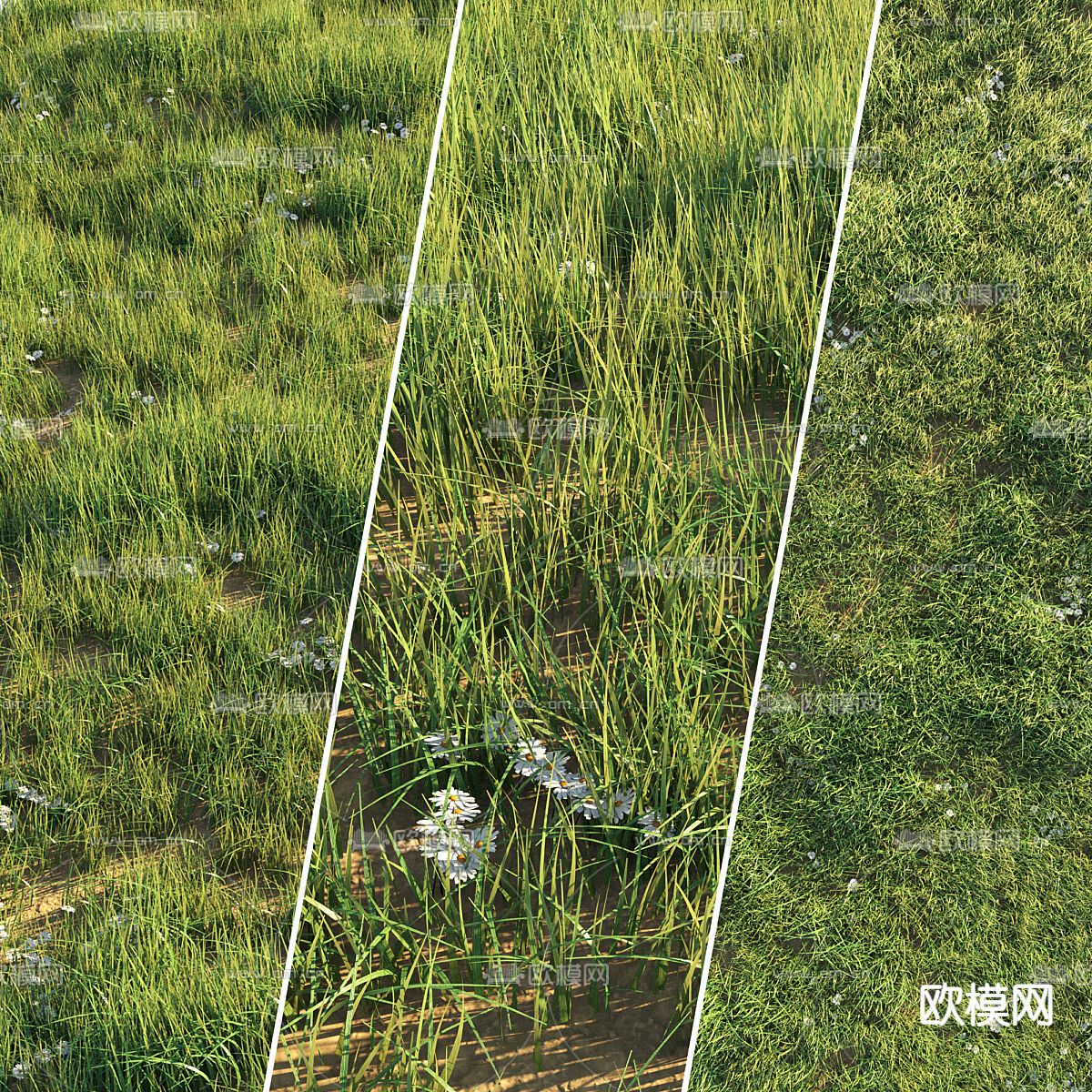 绿茵 草地 草坪3d模型下载