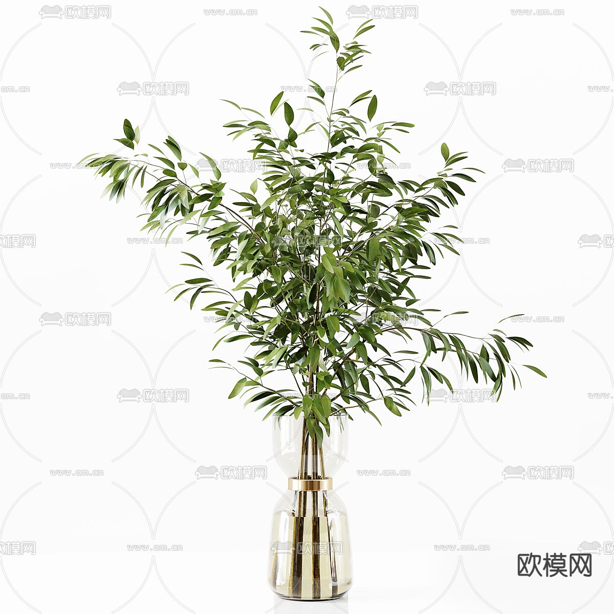 水养绿植 水生植物3d模型