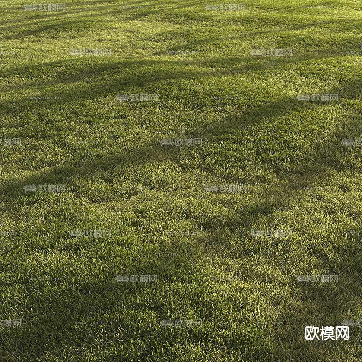 现代绿茵 草坪 草地3d模型