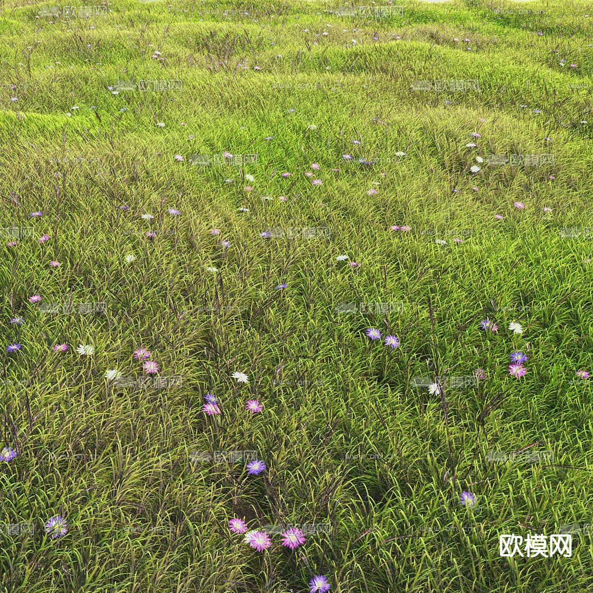 草坪 草地 草皮3d模型下载（渲染图1）