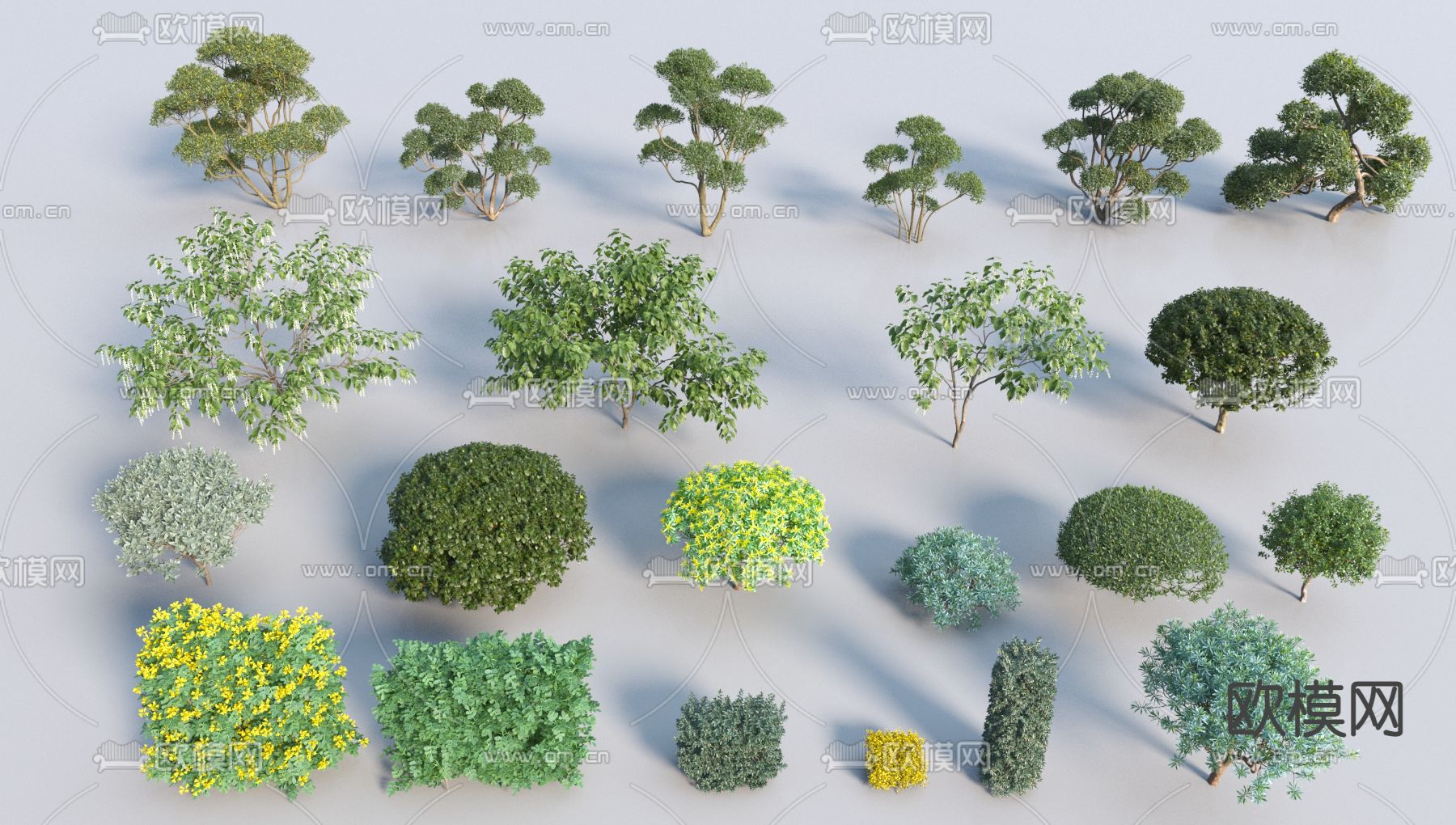 灌木 灌木球3d模型下载（渲染图1）