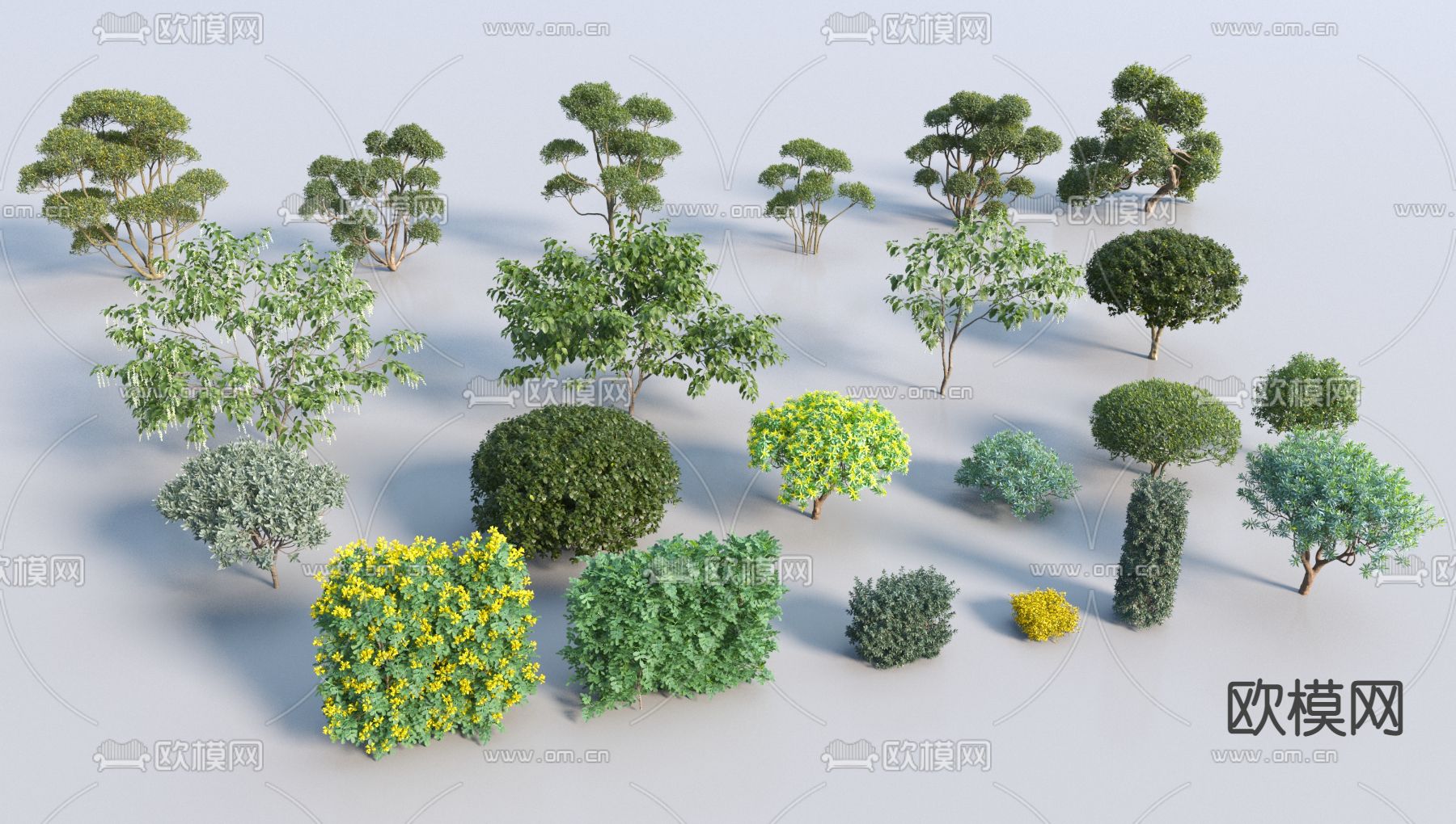 灌木 灌木球3d模型下载（渲染图2）