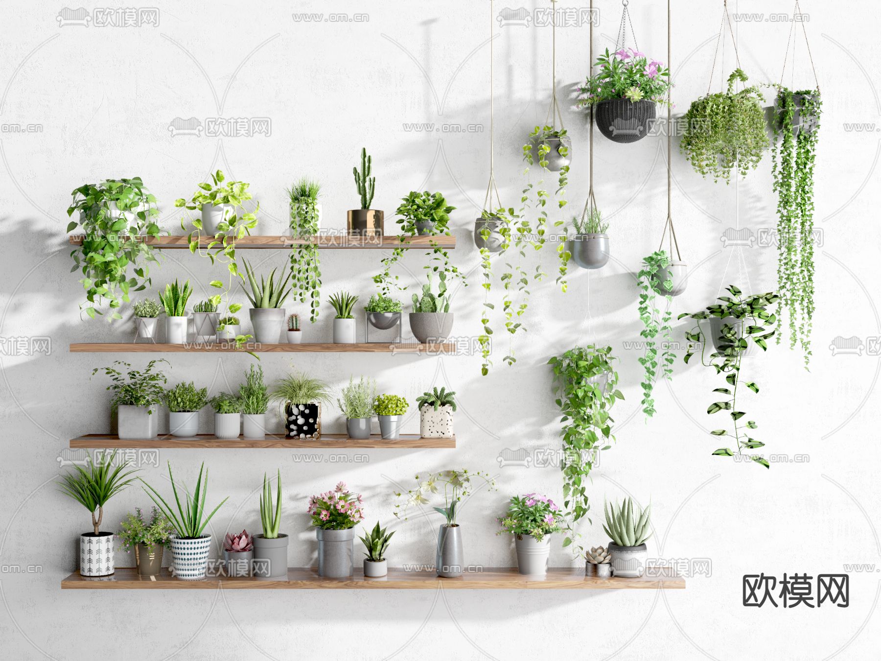 绿植小盆栽 吊篮su模型下载