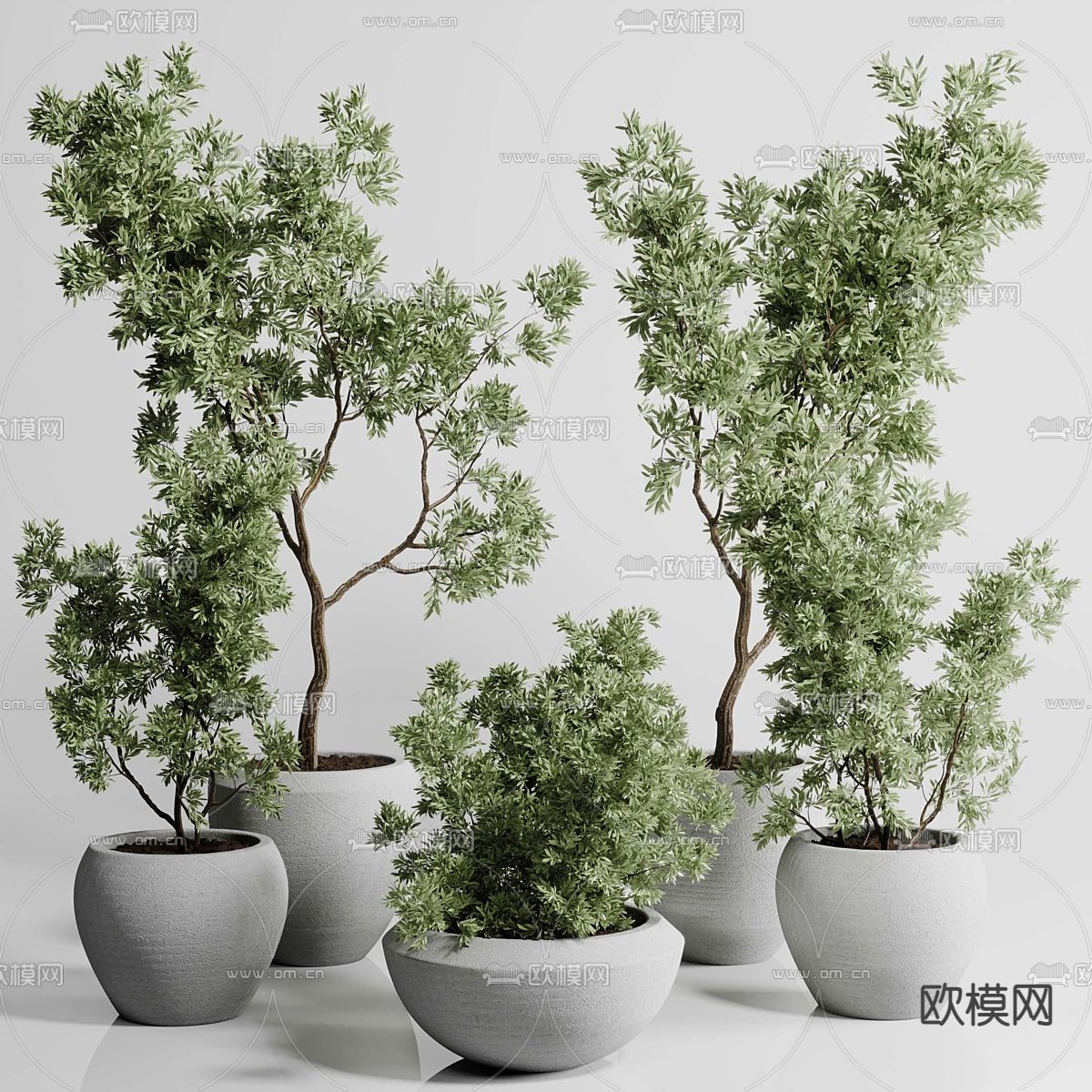 绿植盆栽 盆景3d模型下载_ID12268839_3dmax免费模型-欧模网