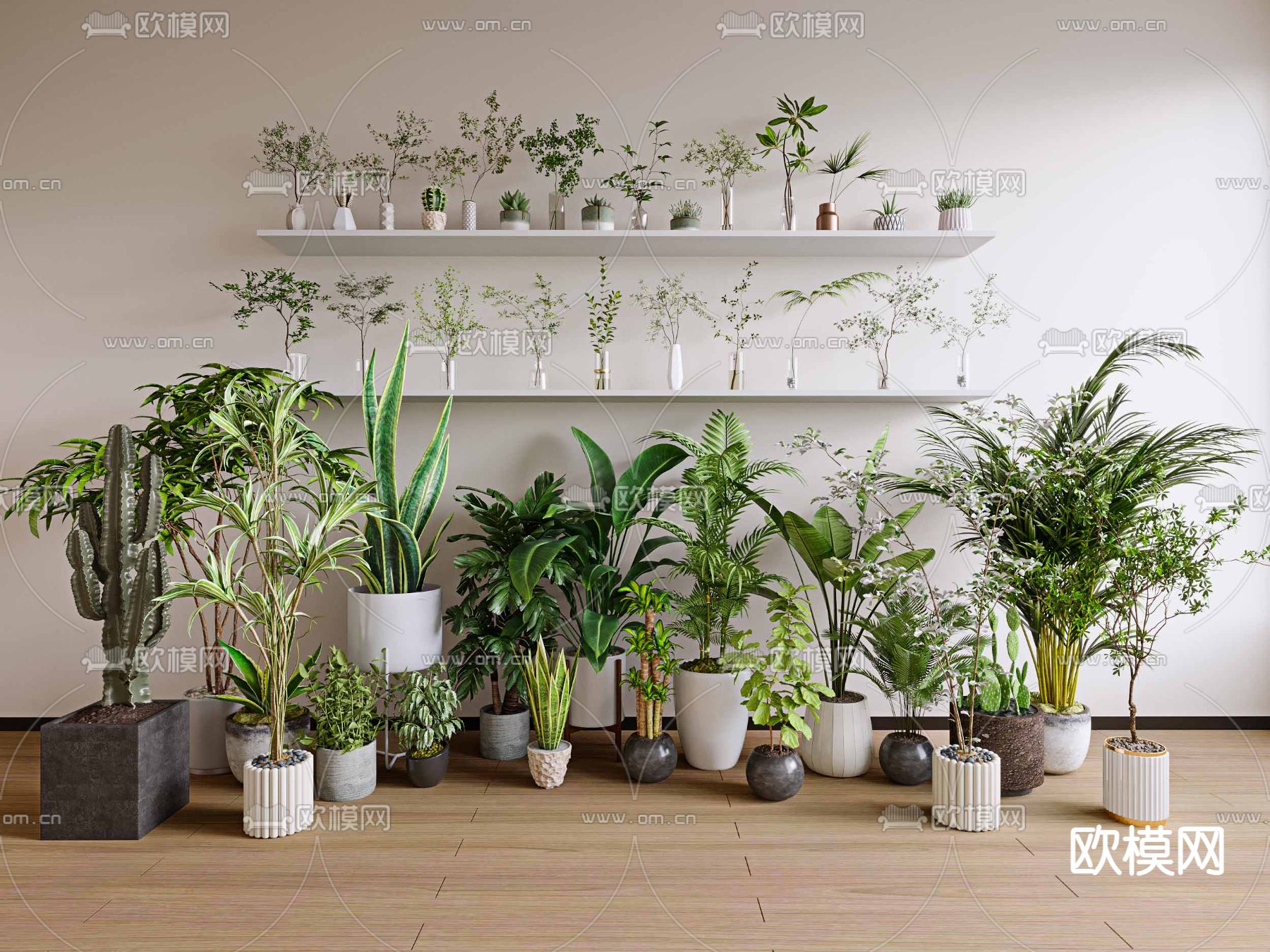 绿植盆栽 水培绿植花瓶su模型下载（渲染图1）