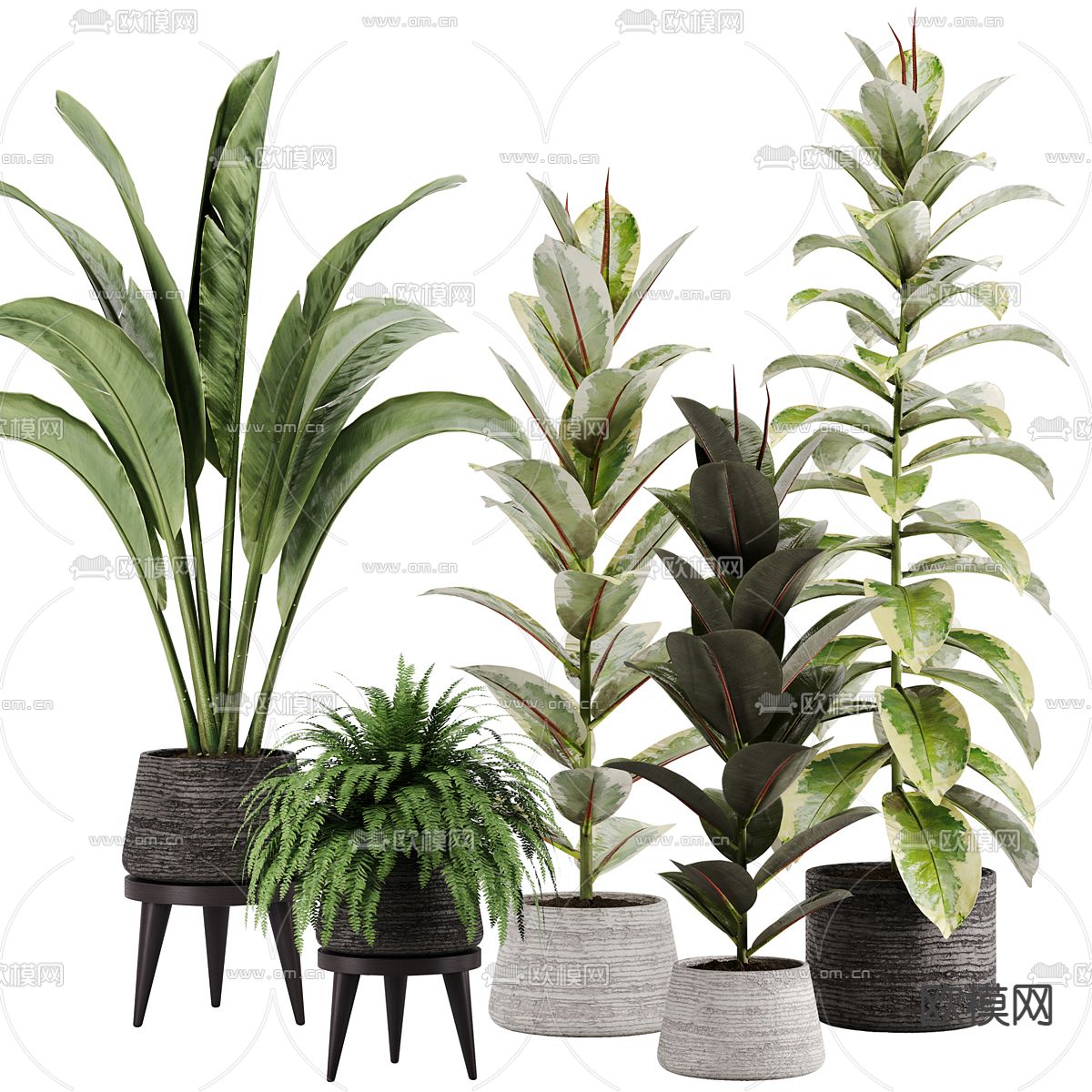 绿植盆栽 盆景3d模型下载_ID12270829_3dmax免费模型-欧模网
