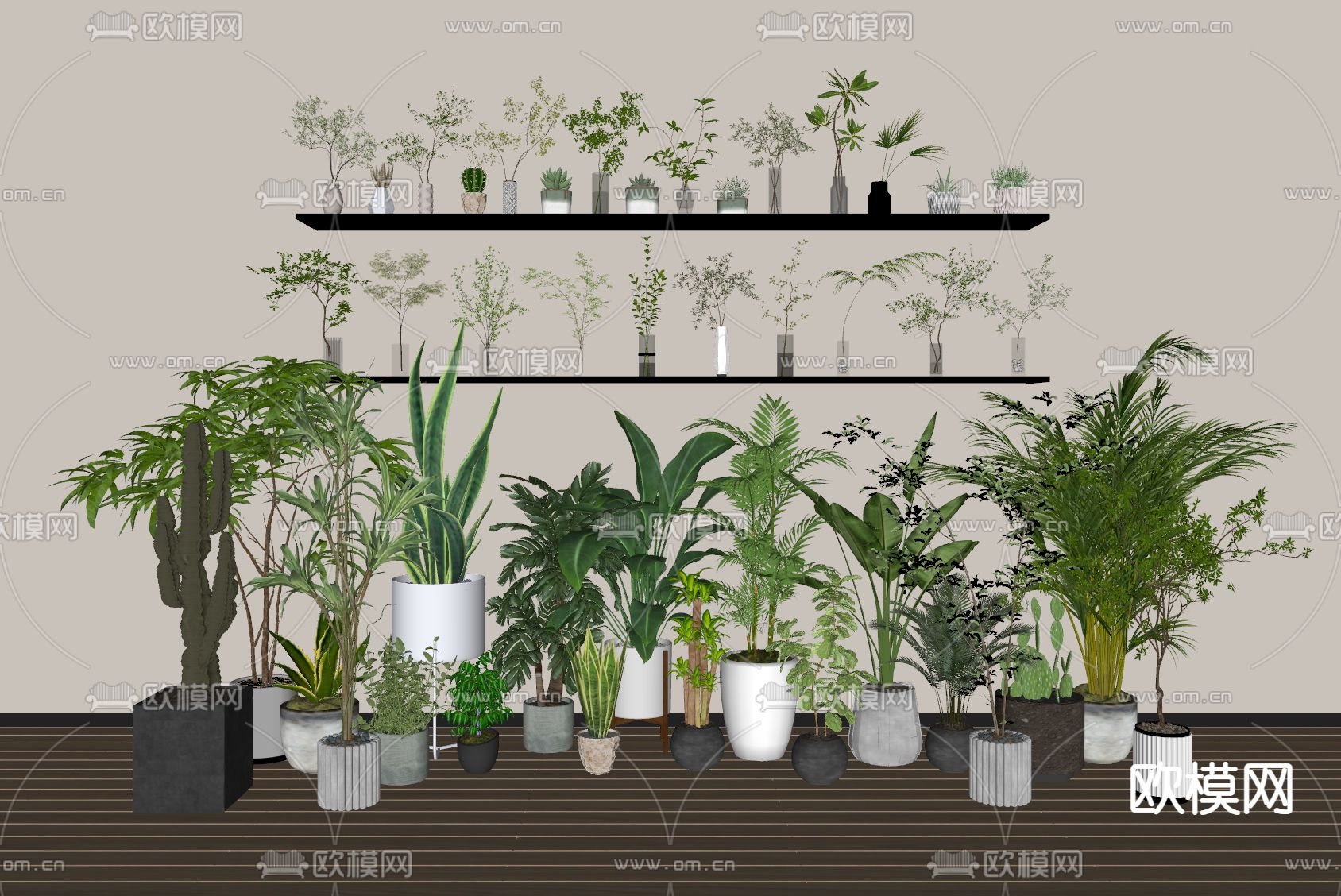 绿植盆栽 水培绿植花瓶su模型下载（渲染图2）