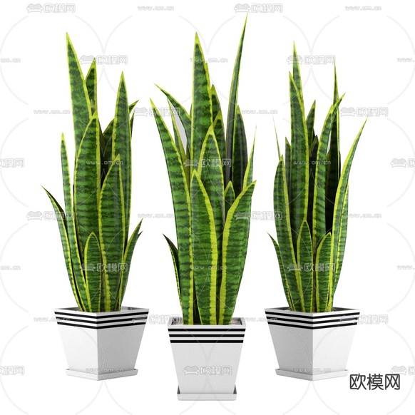 现代简约绿植盆栽免费3d模型下载