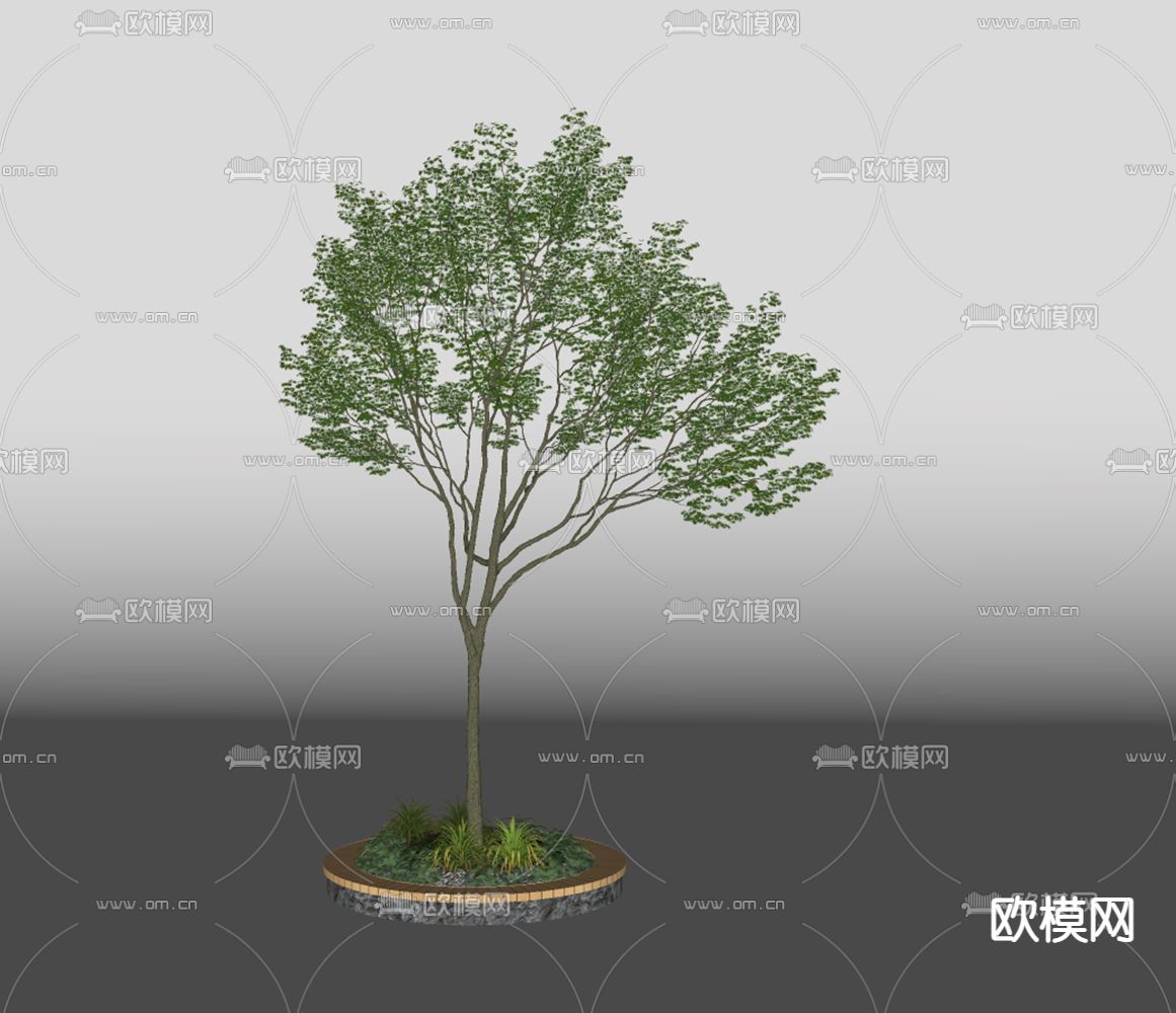 景观树 树木 大树su模型