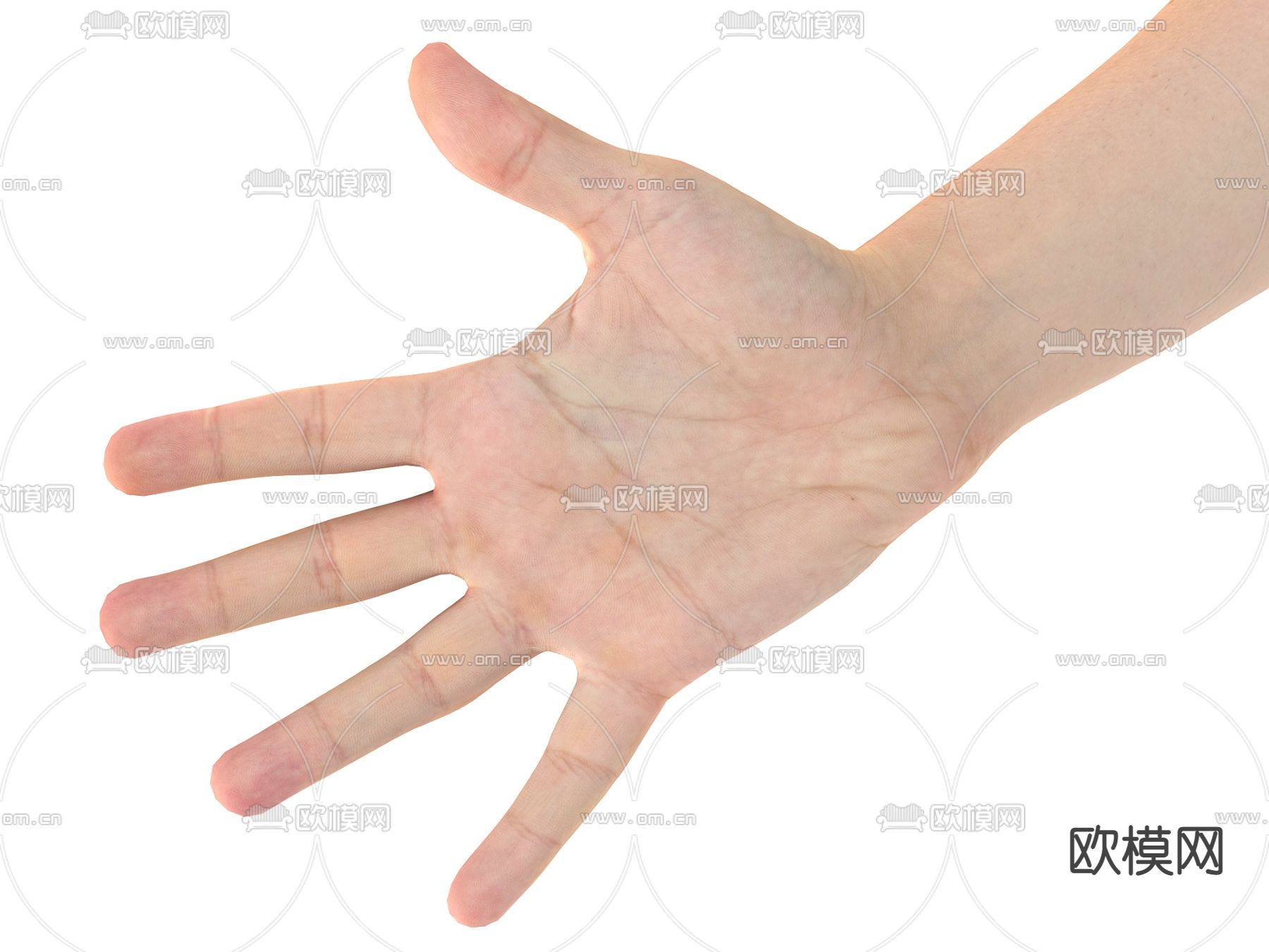手掌 手臂 手指su模型下载（渲染图2）