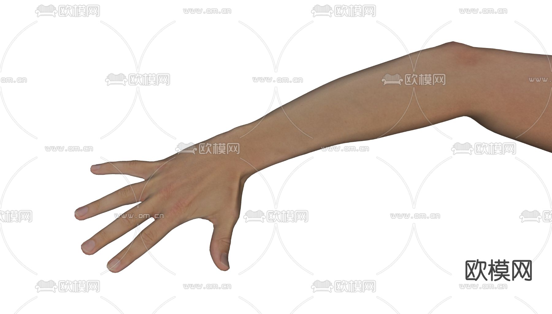 手掌 手臂 手指su模型下载（渲染图4）