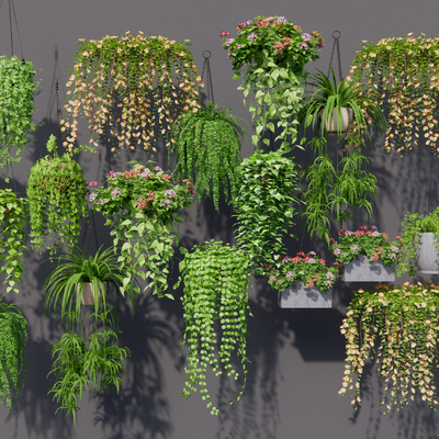  现代吊篮su模型 