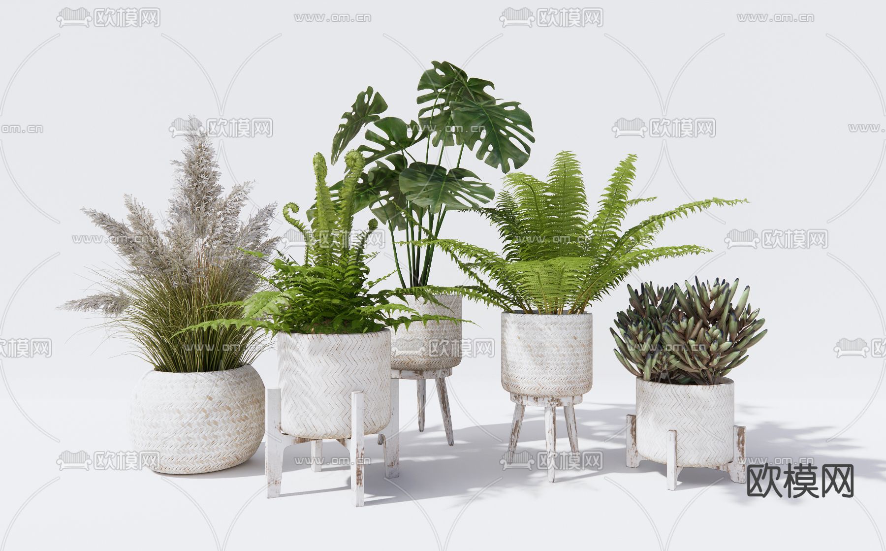 蕨类植物盆栽 盆景3d模型下载_ID12275441_3dmax免费模型-欧模网